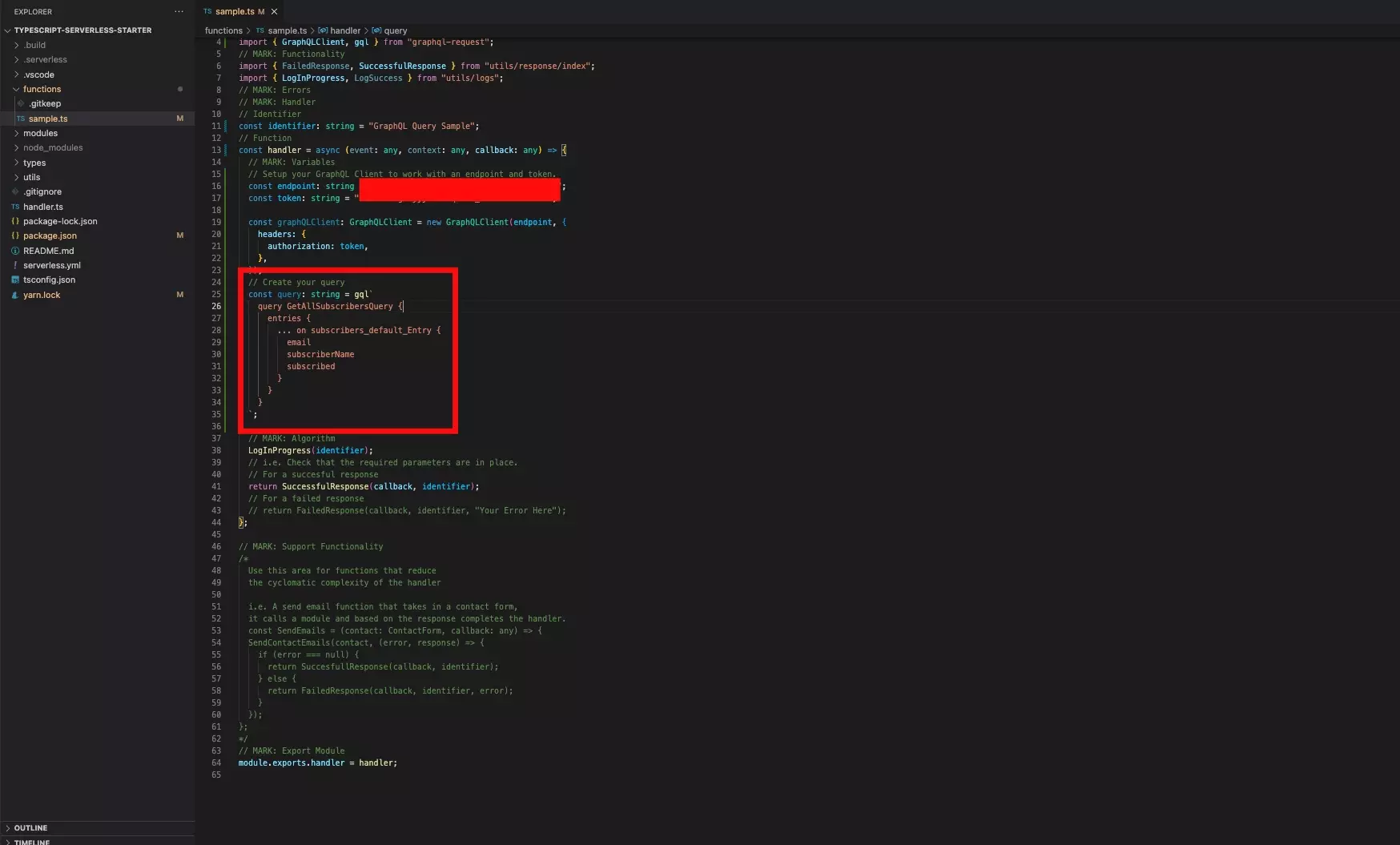 A screenshot of VSCode showing you how to add your query.