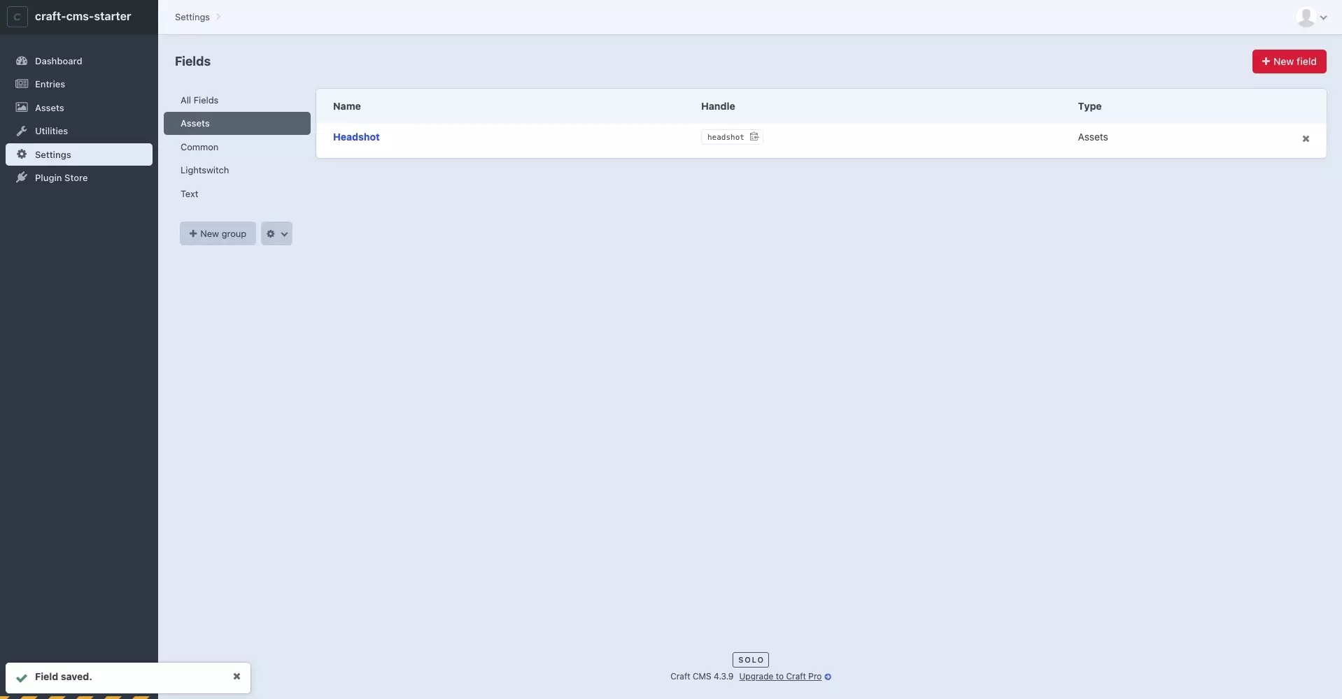 A screenshot of the Craft CMS Fields page showing the newly created field.