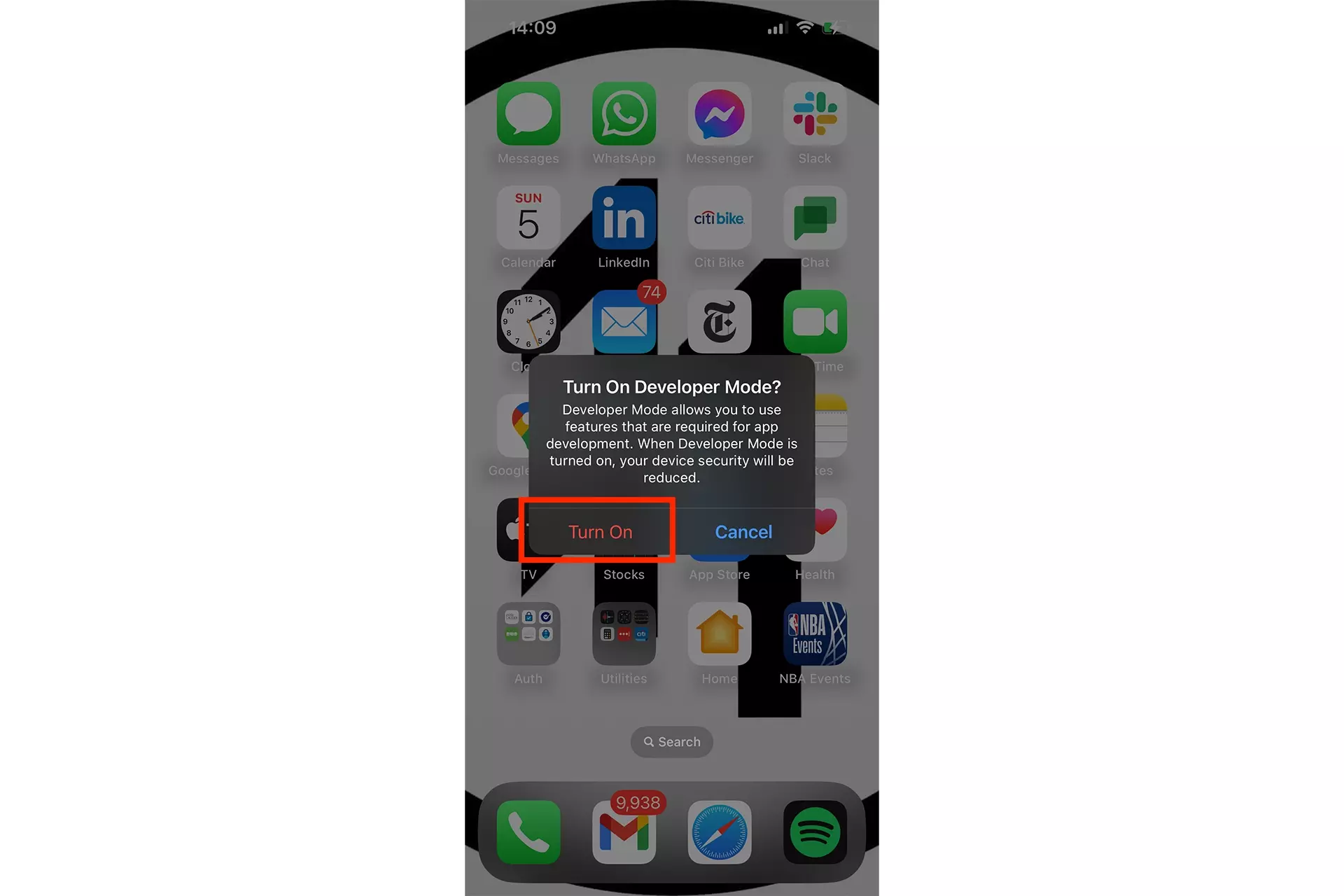 A screenshot of an iPhone landing, with an alert that appears after turning on developer mode. This alert asks you to confirm that you wish to turn on Developer Mode. We have highlighted "Turn On."