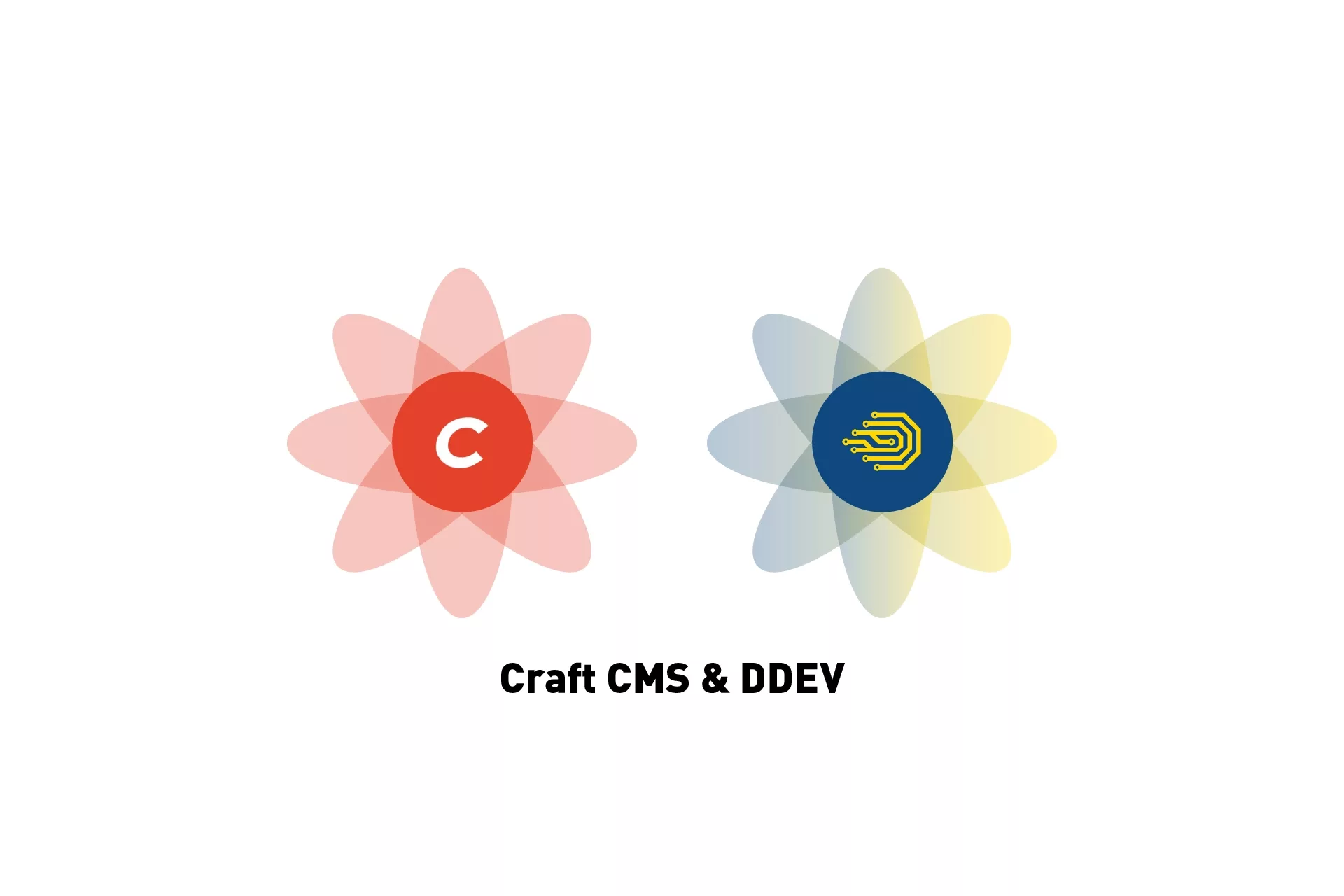 A flower that represents Craft CMS next to one that represents DDEV. Beneath them sits the text "Craft CMS & DDEV".