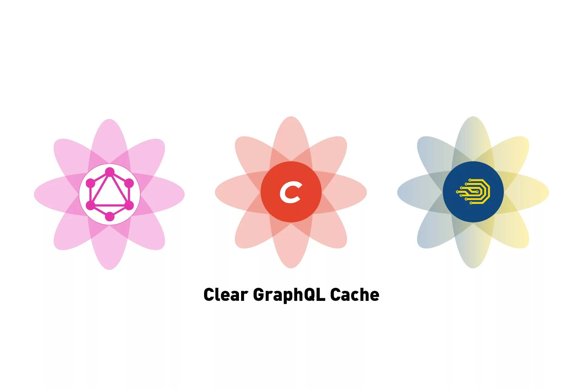 Three flowers that represent GraphQL, CraftCMS & DDEV side by side, with the text "Clear GraphQL Cache" beneath them.