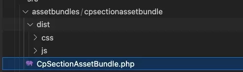 A screenshot of the asset bundle in VSCode.
