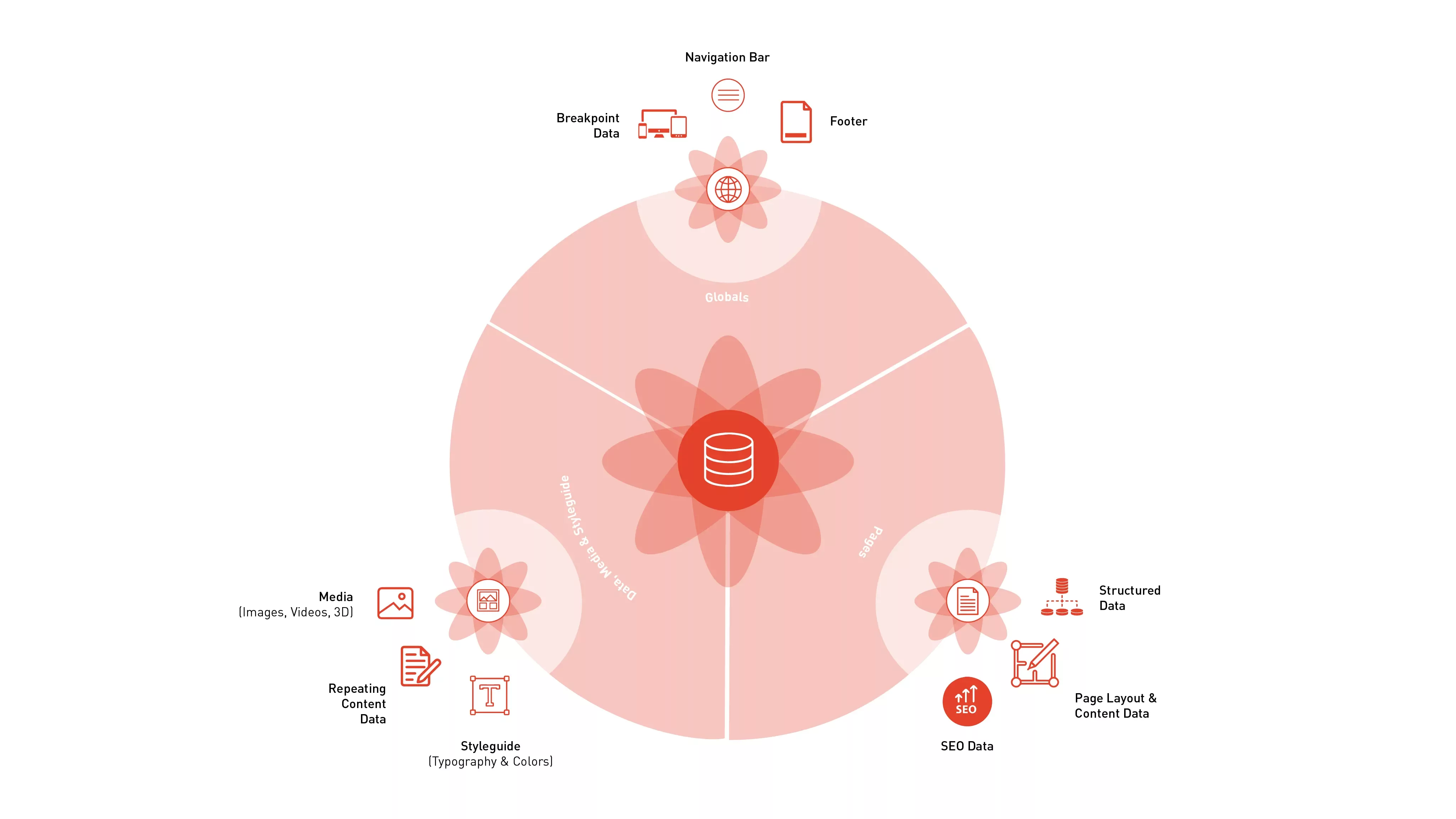 The elements and structure of our database