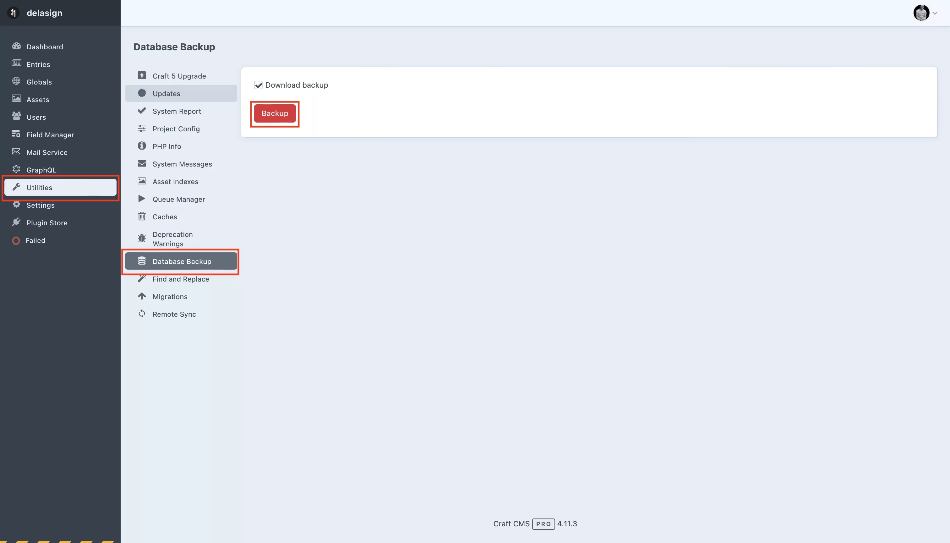 A screenshot of CraftCMS demonstrating how to download a DB using the Backup utility.