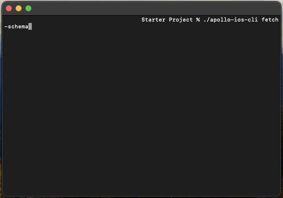 <p>A screenshot of Terminal showing you how to fetch the schema using the Apollo Cli.</p>