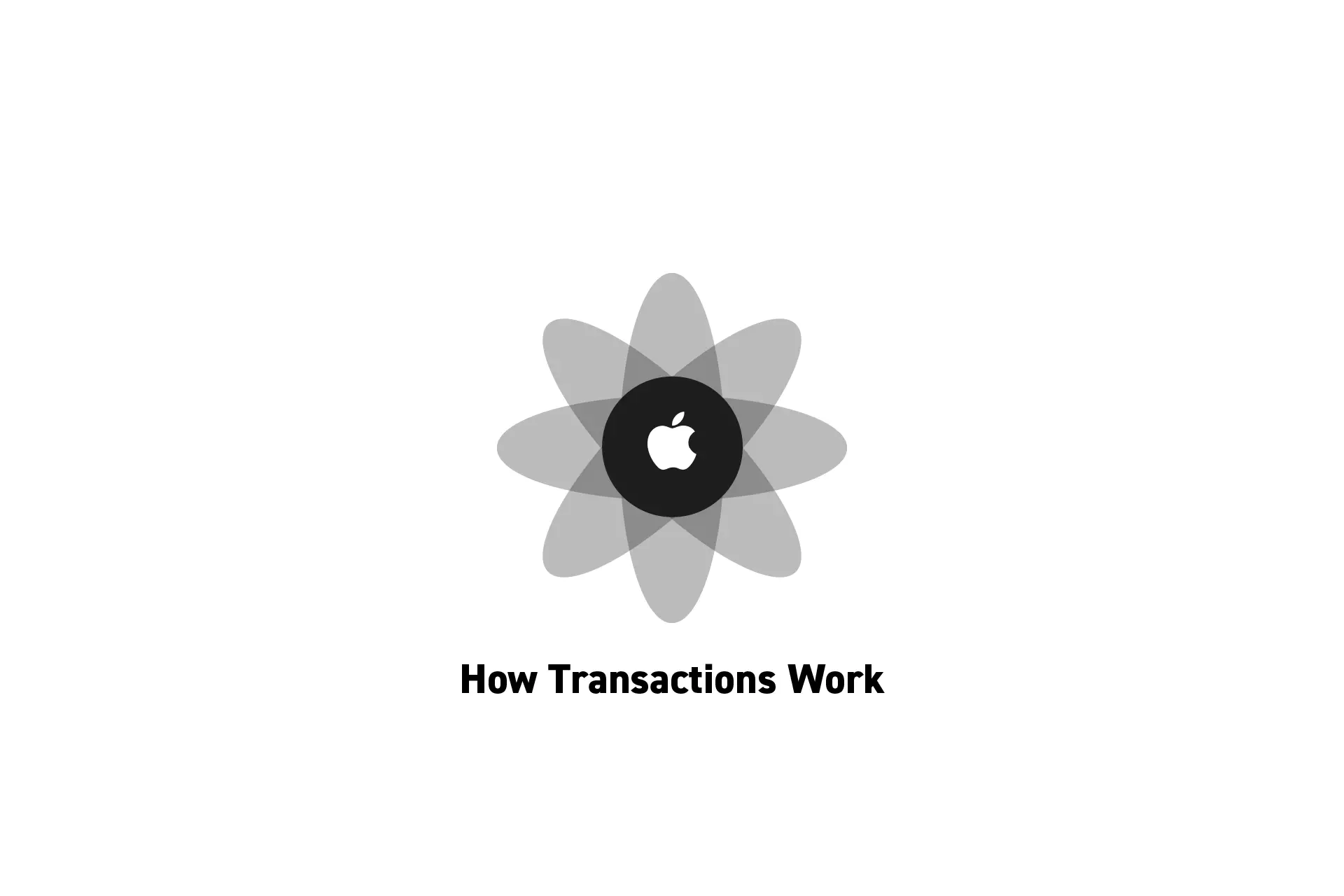 A flower that represents Apple with the text "How Transactions Work" beneath it.