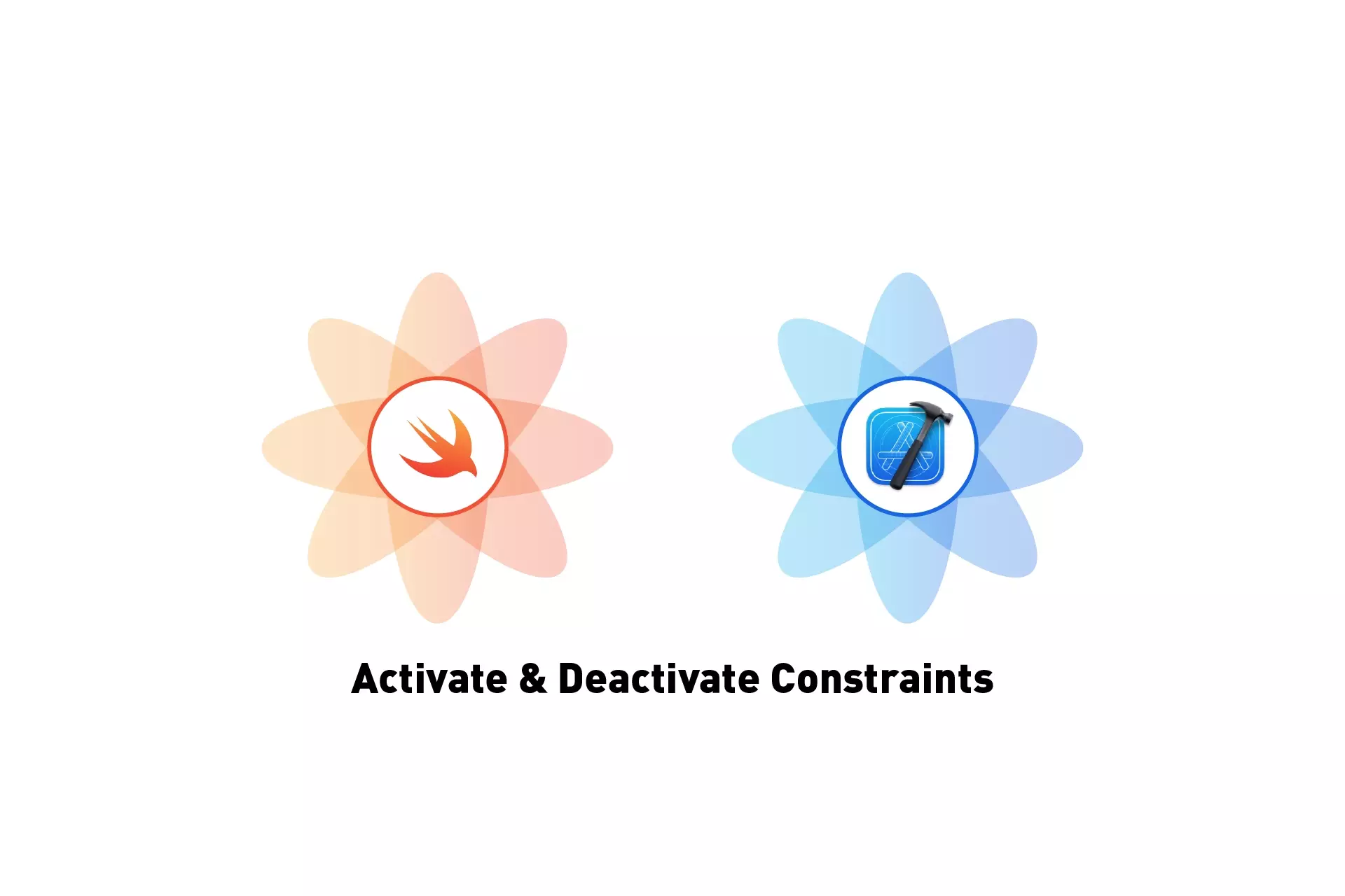 Two flowers that represents Swift and XCode, side by side. Beneath them sits the text "Activate and Deactivate Constraints."