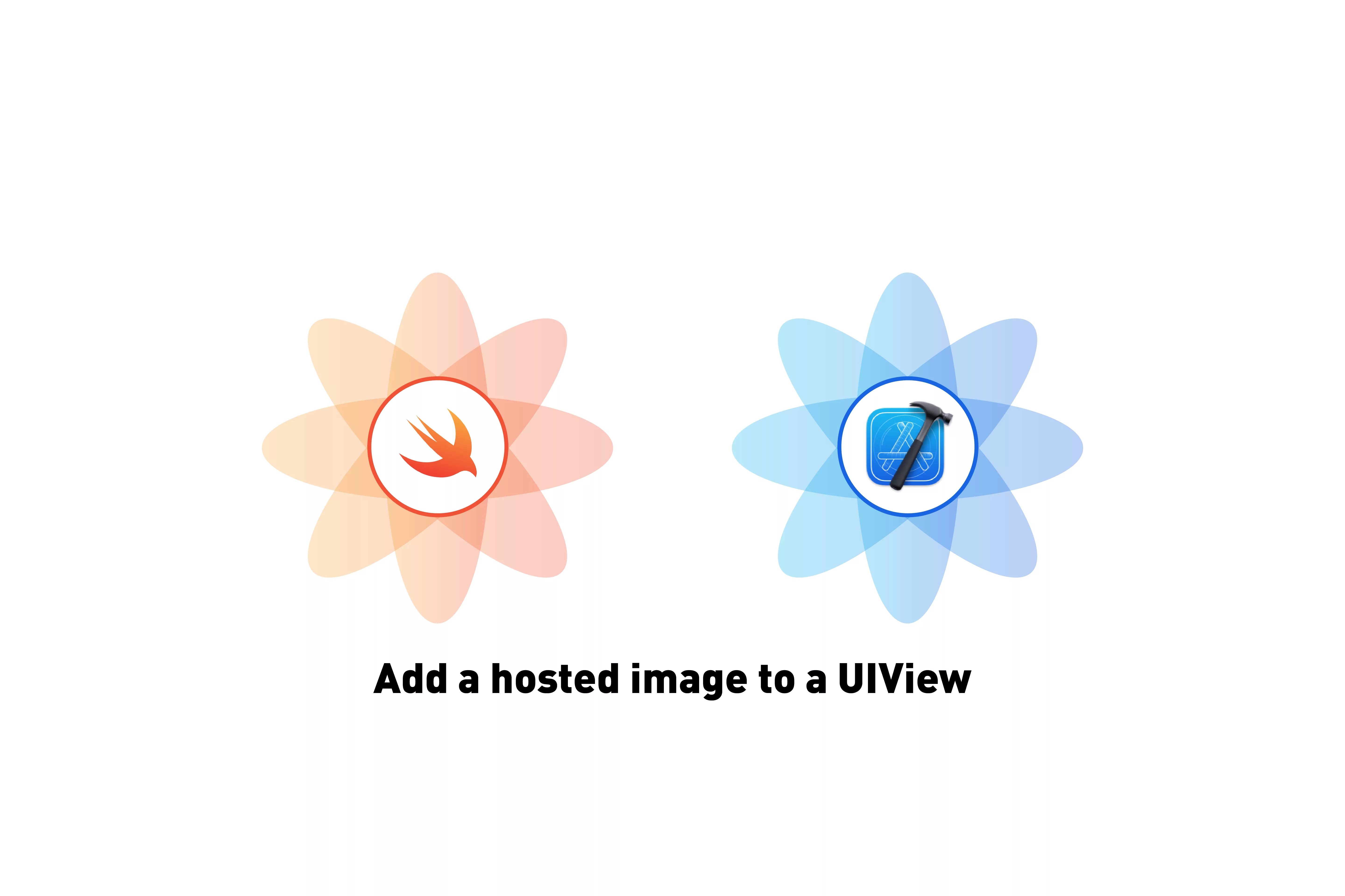 A flower that represents Swift next to a flower that represents XCode. Beneath it sits the text that states 'Add a hosted image to a UIView'.
