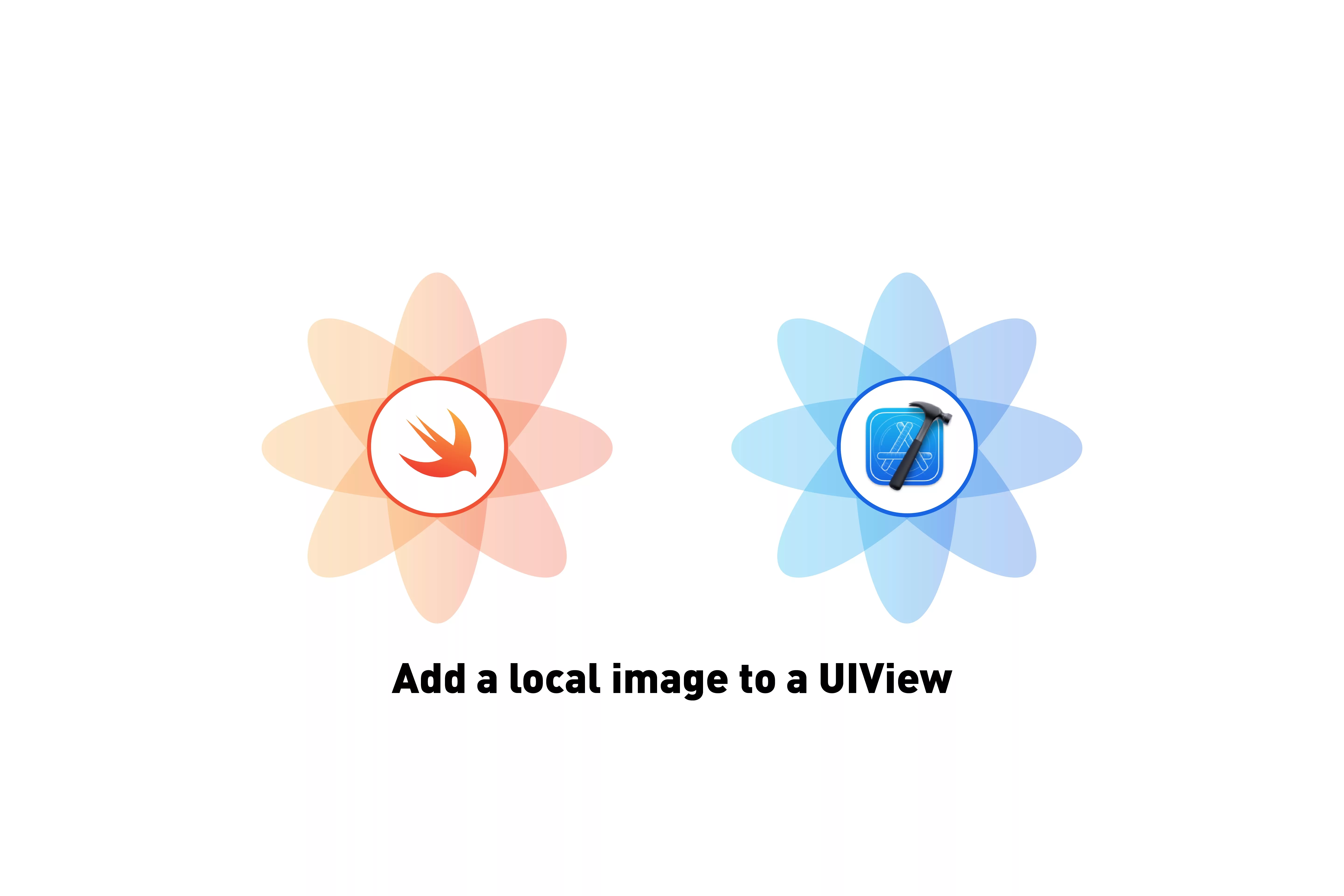 A flower that represents Swift next to a flower that represents XCode. Beneath it sits the text that states 'Add a local image to a UIView'.