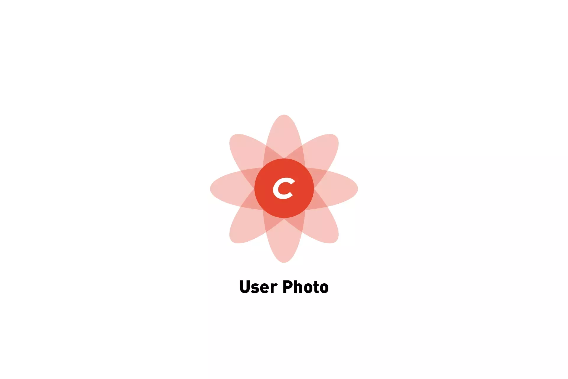 A flower that represents Craft CMS with the text "User Photo" beneath it.