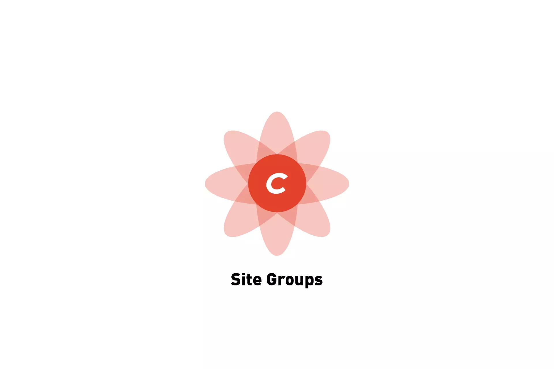 A flower that represents Craft CMS. Beneath it sits the text "Site Groups."