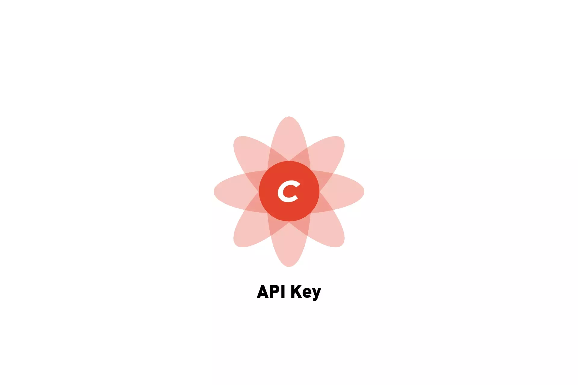A flower that represents Craft CMS. Beneath it sits the text "API Key."