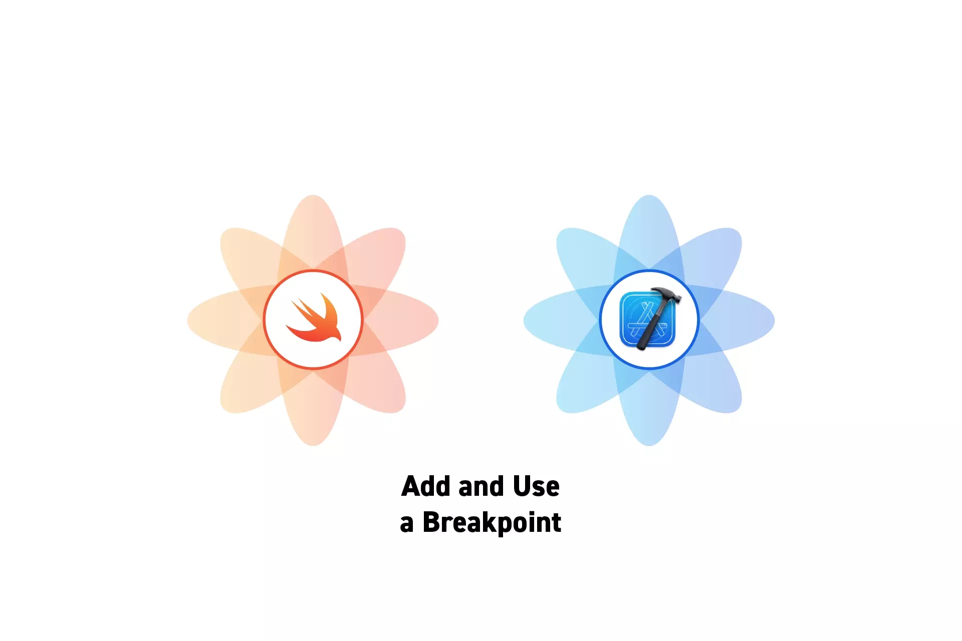 Two flowers that represent Swift and XCode side by side. Beneath them sits the text “Add and Use a Breakpoint”.