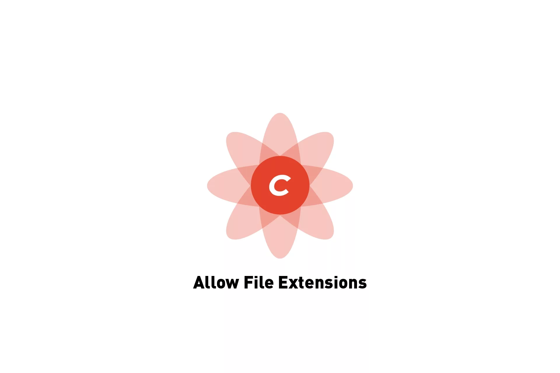 A flower that represents Craft CMS with the text 'Allow File Extensions' beneath it.