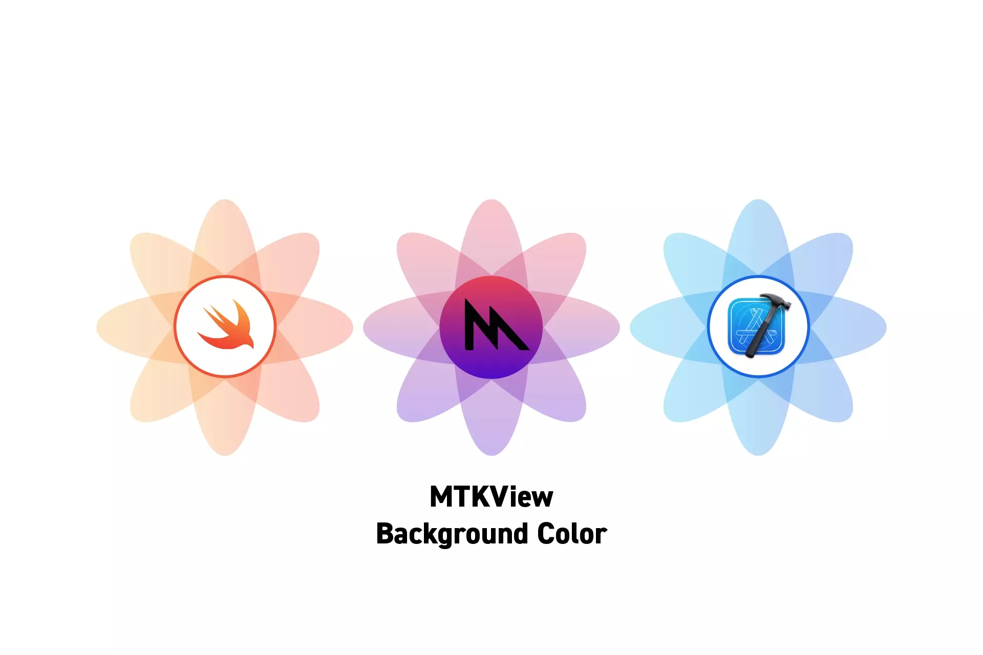 Three flowers that represent Swift, Metal and Xcode side by side. Beneath them sits the text "MTKView Background Color."
