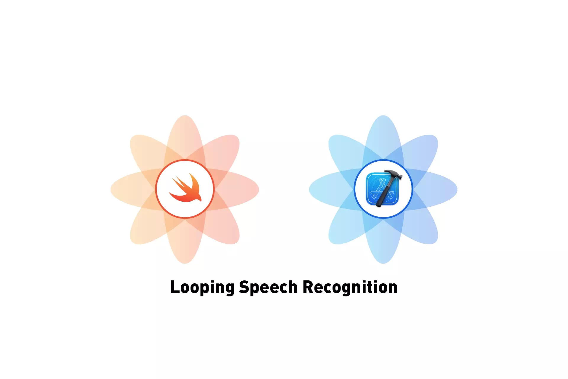 Two flowers that represent Swift and Xcode. Beneath them sits the text "Looping Speech Recognition."