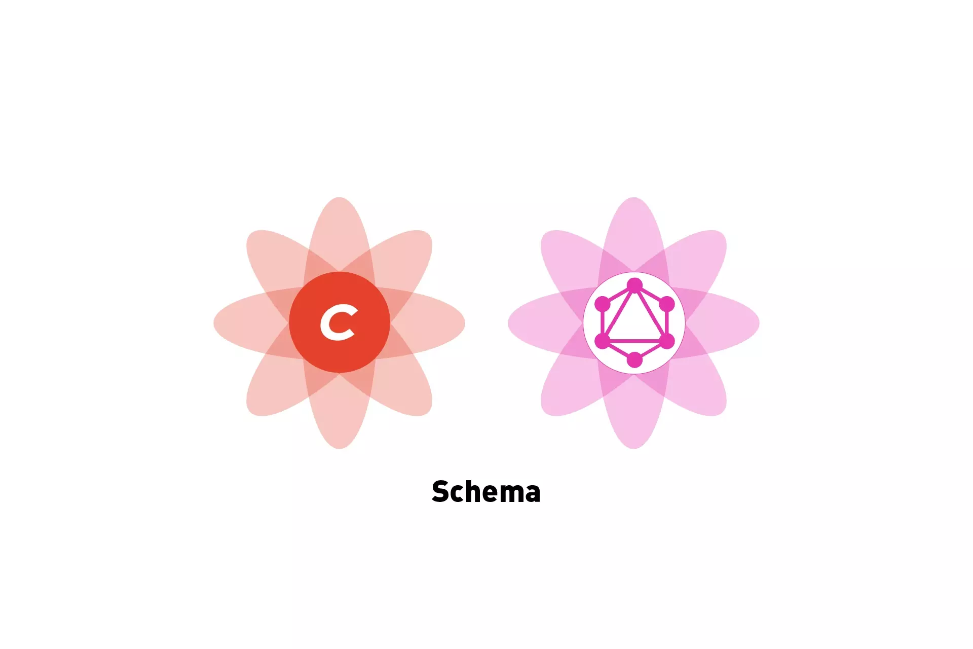 A flower that represents GraphQL next to one that represents Craft CMS, beneath it sits the text "Schema."