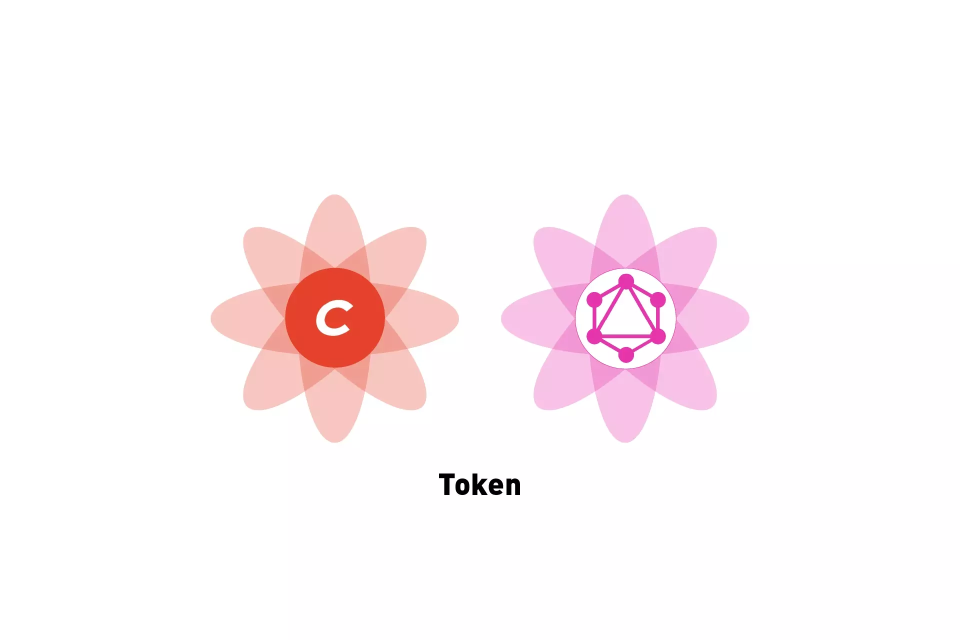A flower that represents Craft CMS next to a flower that represents GraphQL. Beneath it sits the text "Token."