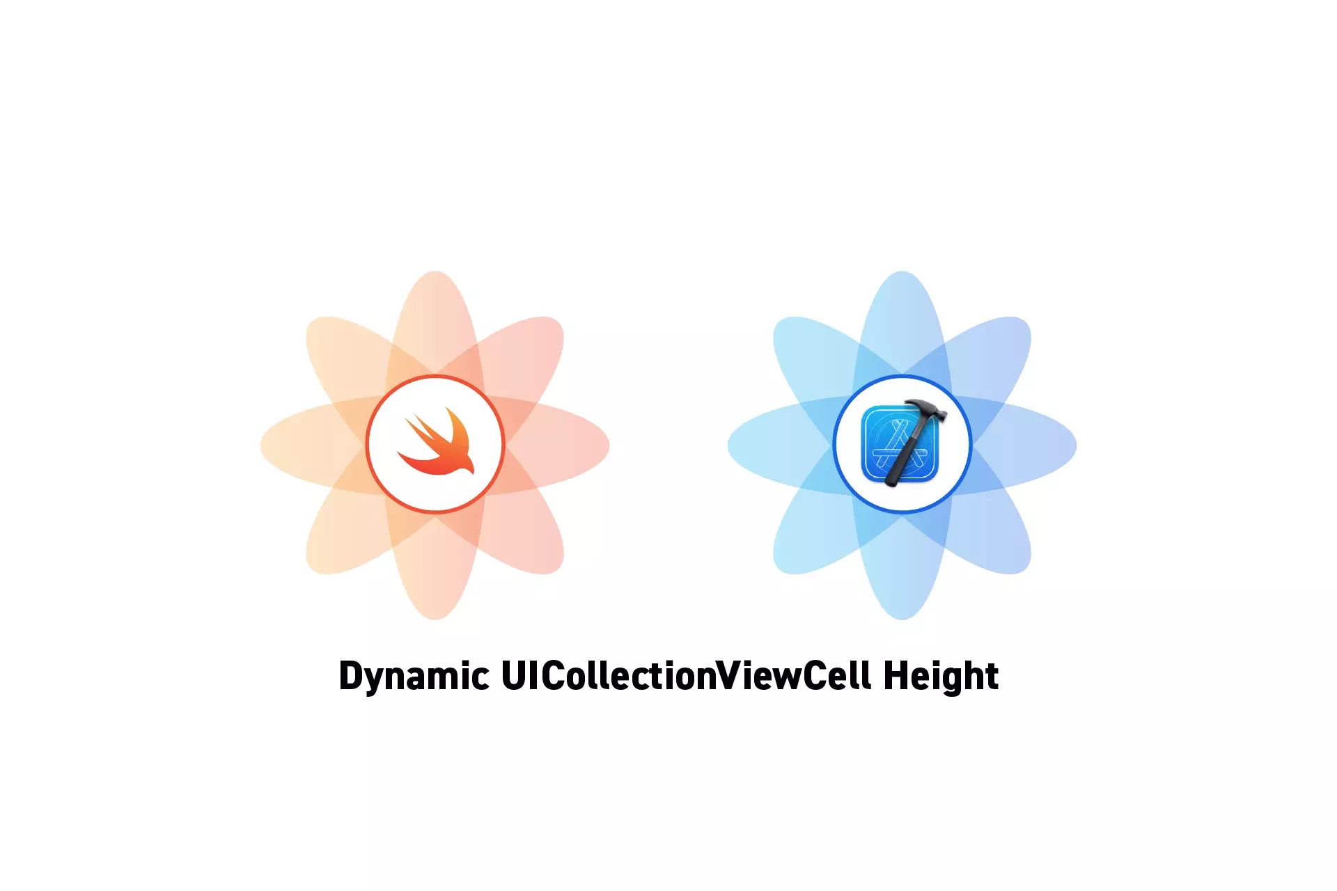Two flowers that represent Swift and XCode with the text "Dynamic UICollectionViewCell Height" beneath them.