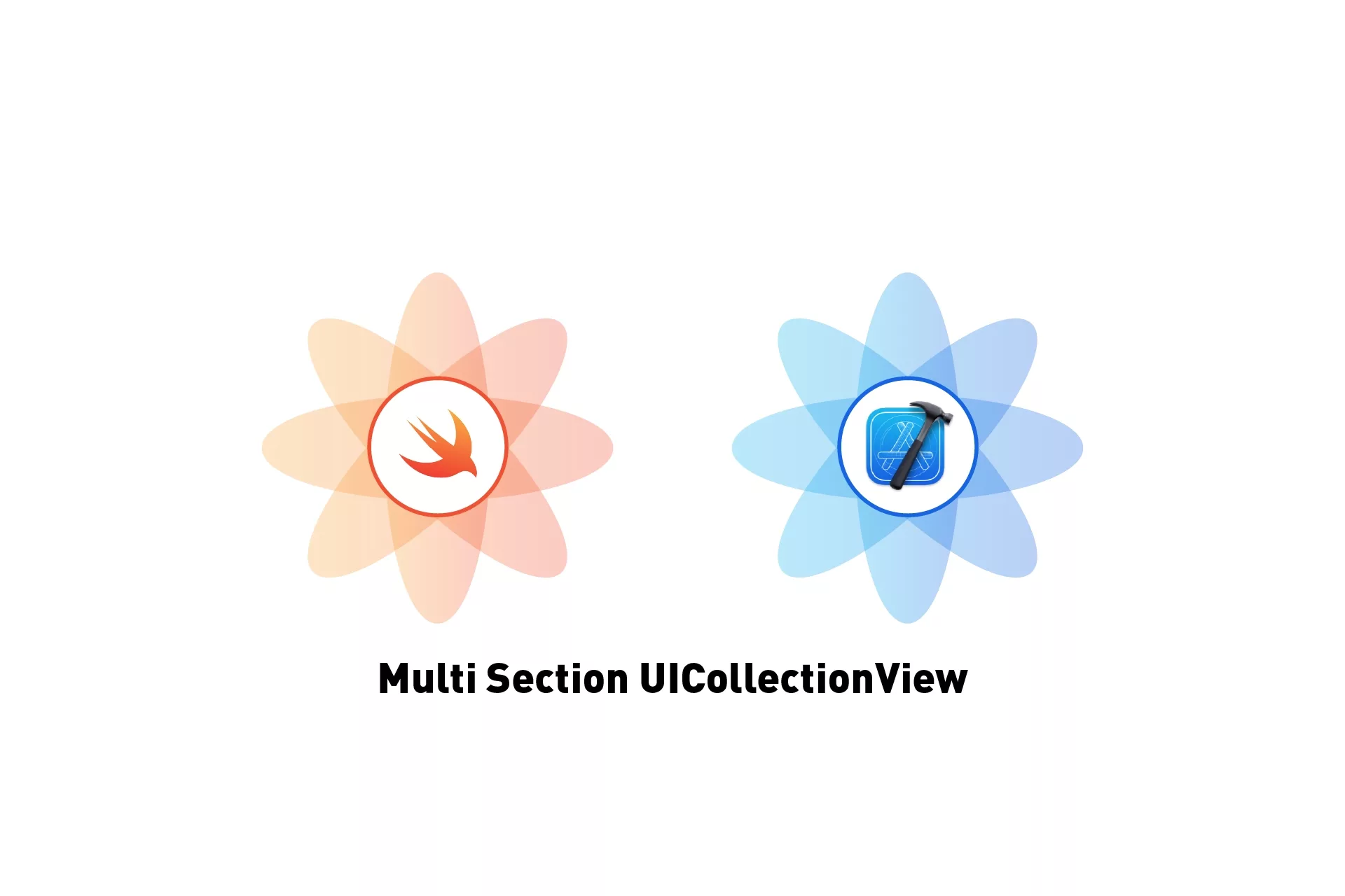 A flower that represents Swift next to a flower that represents XCode. Beneath it sits the text that states 'Multi Section UICollectionView'.