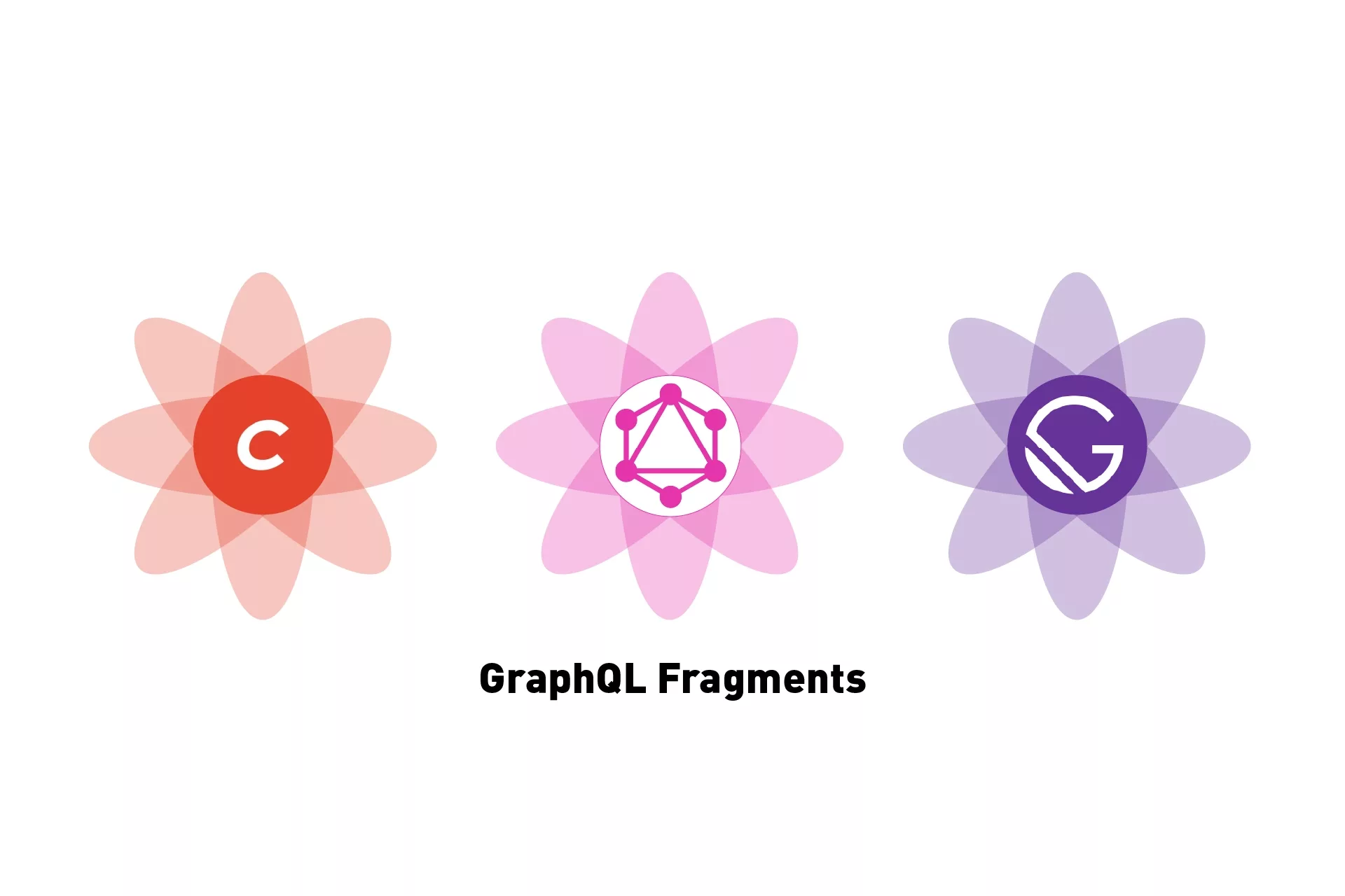 Three flowers that represent Craft CMS, GraphQL & GatsbyJS side by side, beneath them sits the text 'GraphQL Fragments'.