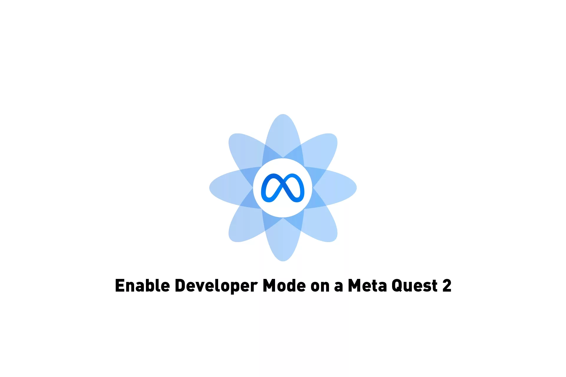 A flower that represents Meta with the text 'Enable Developer Mode' beneath it.