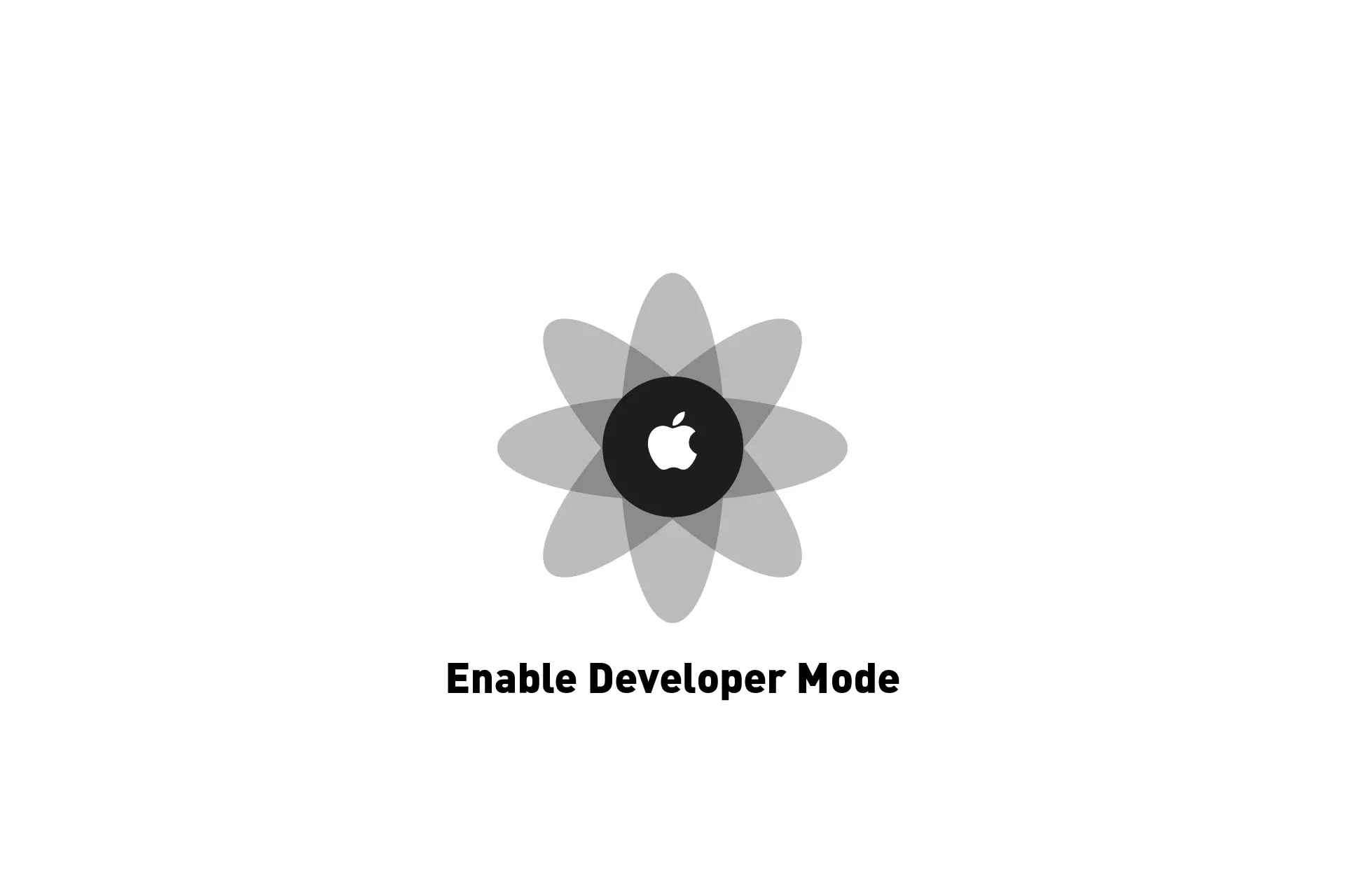 A flower that represents Apple with the text "Enable Developer Mode beneath it."