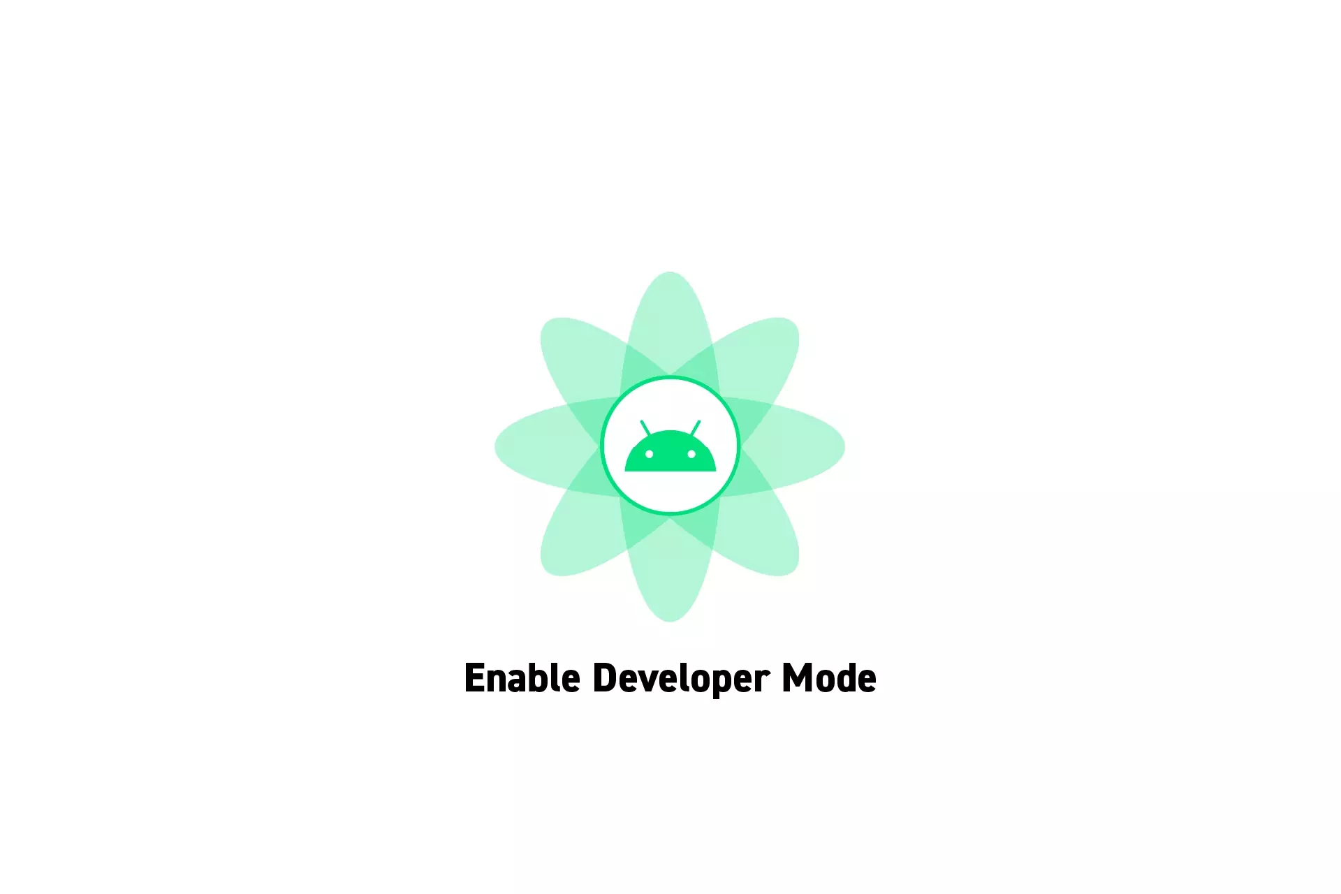 A flower that represents Android with the text "Enable Developer Mode" beneath it.