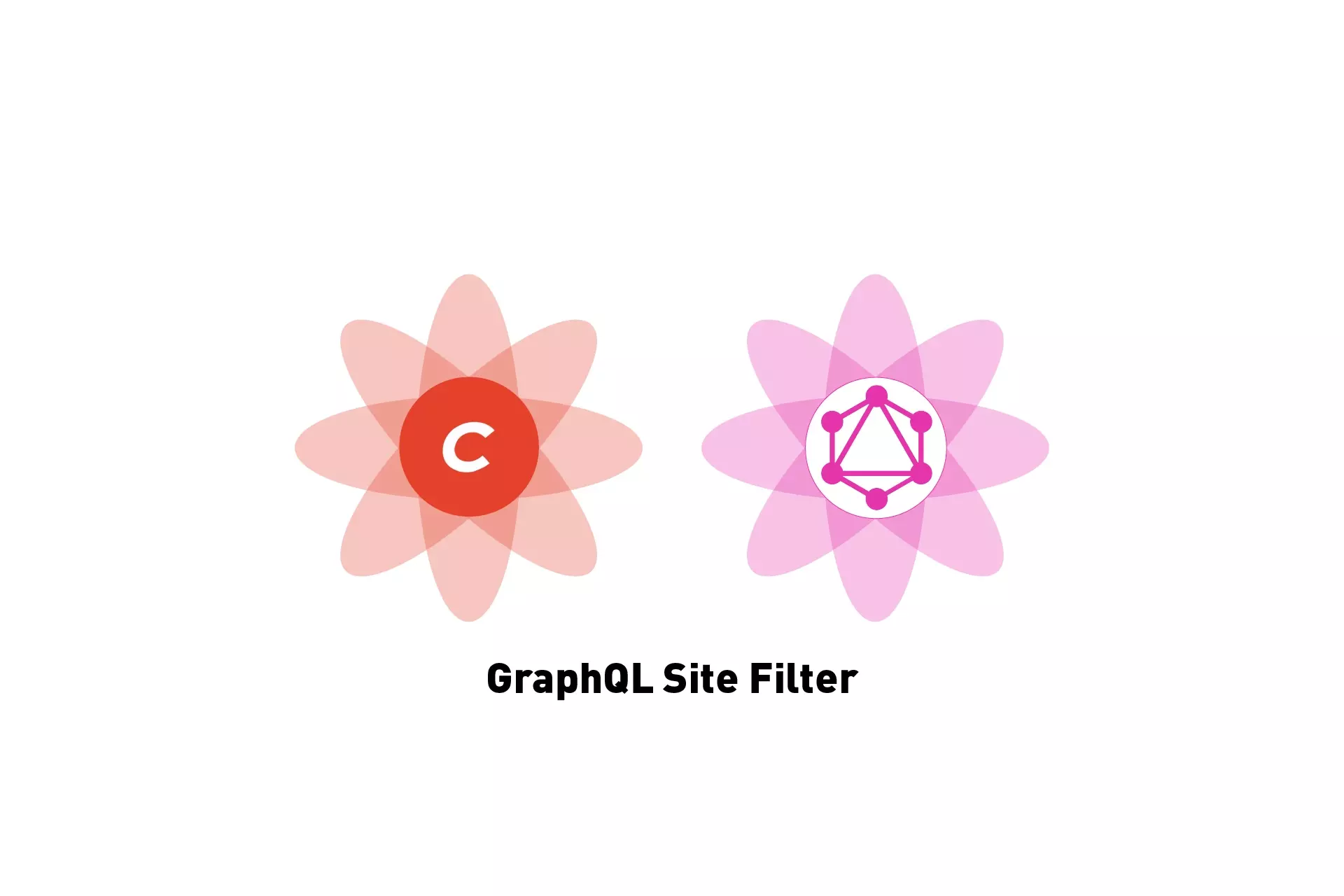 Two flowers that represents Craft CMS and GraphQL side by side with the text "GraphQL Site Filter" beneath it.