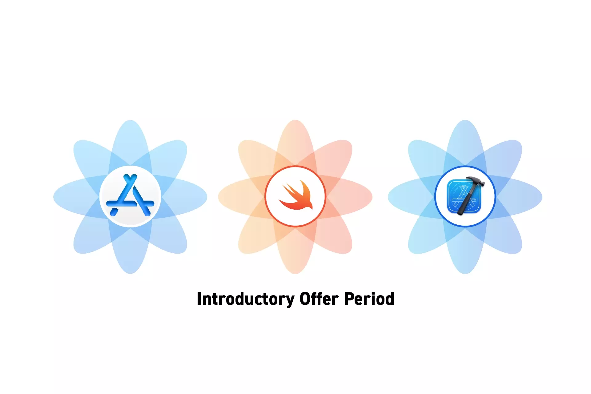 Three flowers that represent StoreKit, Swift and XCode side by side. Beneath them sits the text “Introductory Offer Period.”