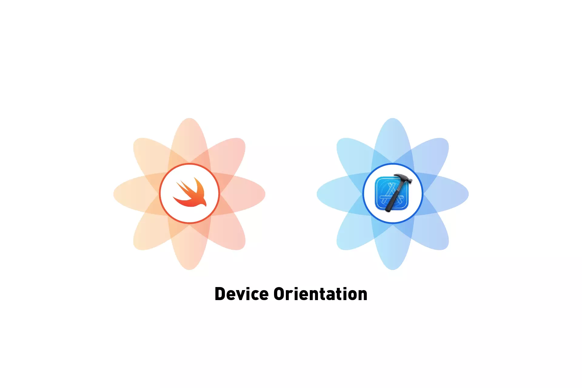 Two flowers that represents Swift and XCode next to each other. Beneath them sits the text "Device Orientation."
