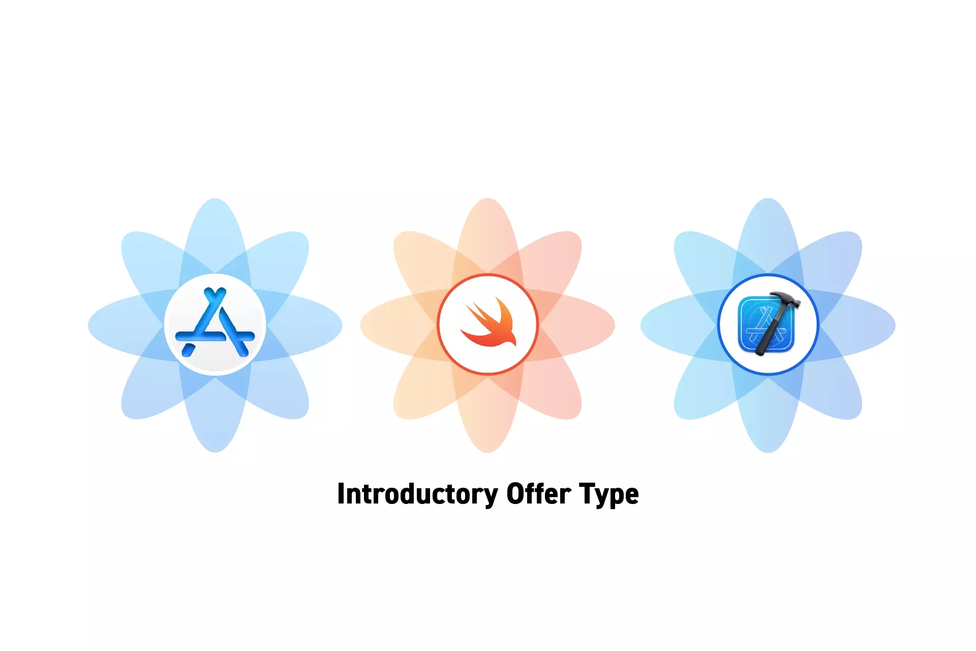 Three flowers that represent StoreKit, Swift and XCode side by side. Beneath them sits the text “Introductory Offer Type.”