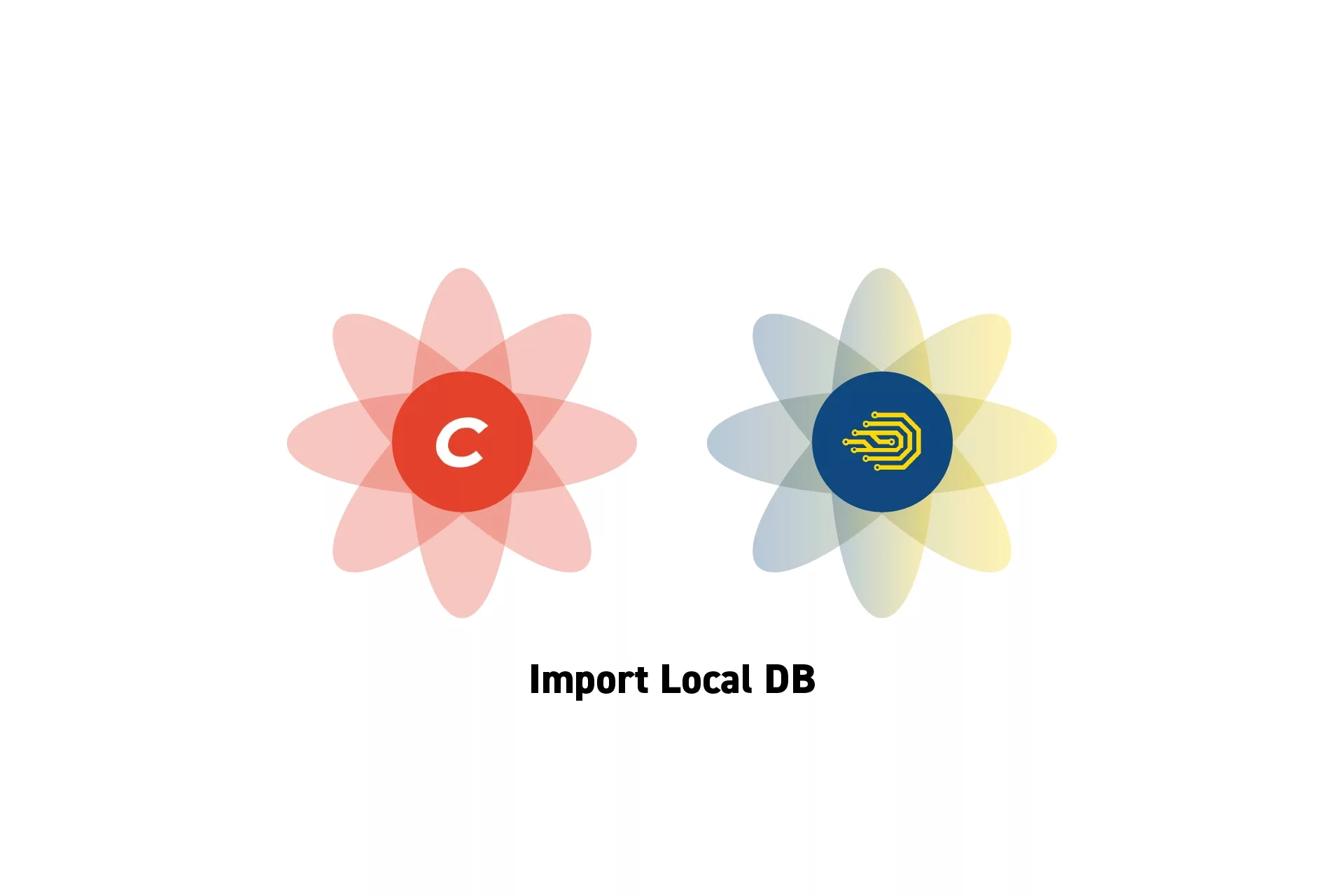 Two flower that represent Craft CMS and DDEV. Beneath them sits the text "Import Local DB."