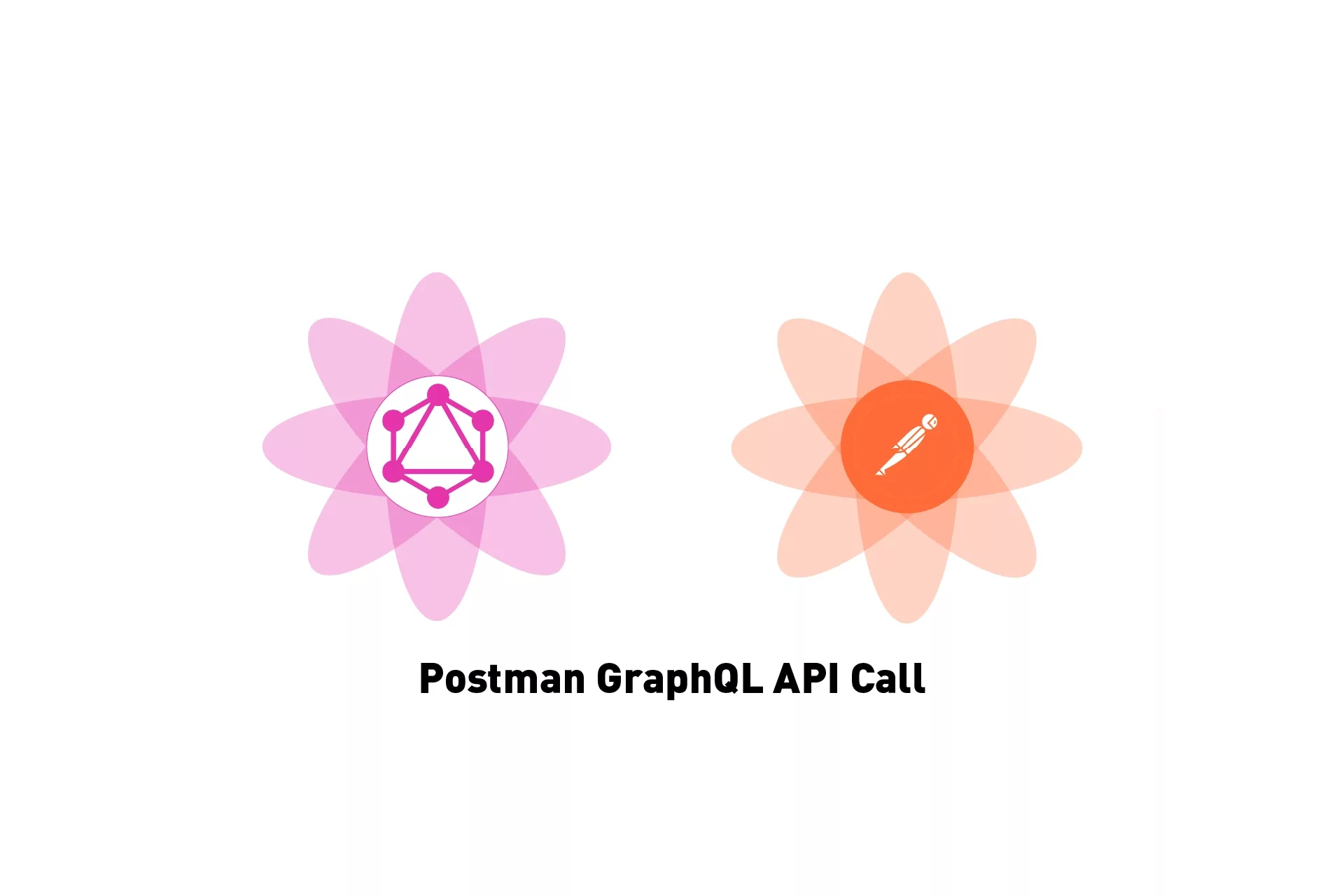 A flower that represents GraphQL next to a flower that represents Postman. Beneath it sits the text that states 'Postman GraphQL API Call'.