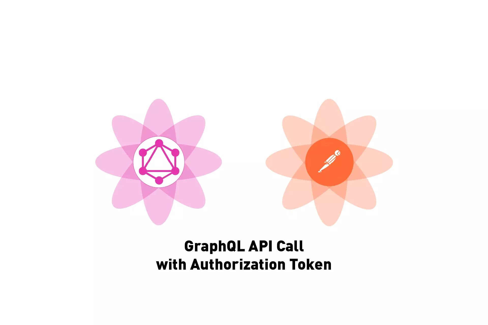 Two flowers that represents GraphQL and Postman side by side. Beneath them sits the text "GraphQL API Call with Authorization Token."