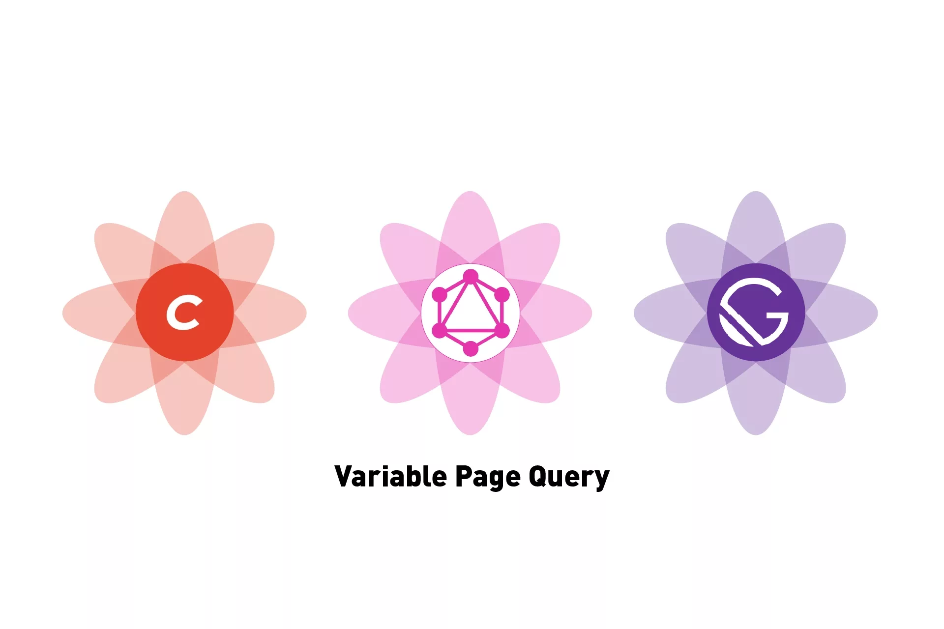 Three flowers that represent Craft CMS, GraphQL and GatsbyJS with the text 'Variable Page Query' beneath it.
