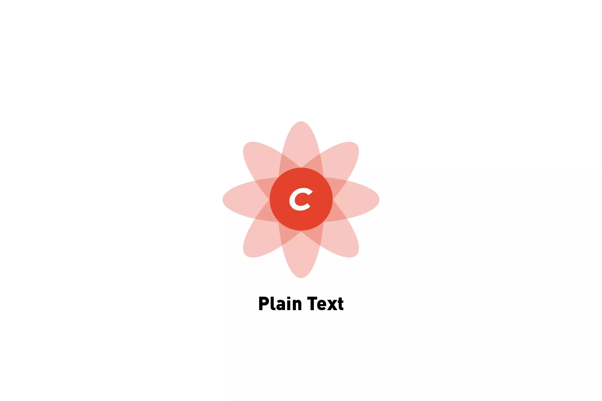 A flower that represents Craft CMS. Beneath it sits the text "Plain Text."
