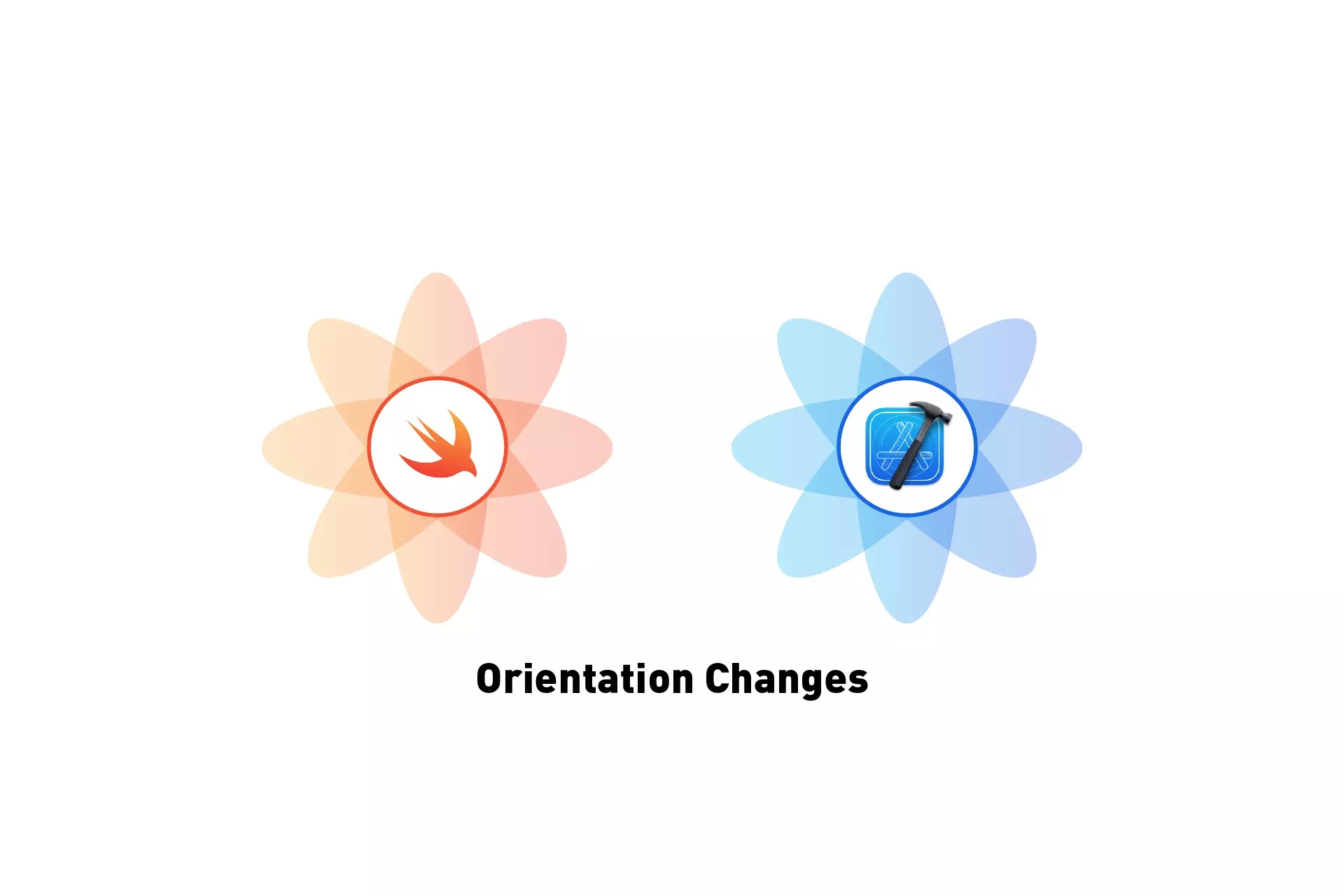 A flower that represents Swift next to one that represents XCode.  Beneath them sits the text "Orientation Changes."