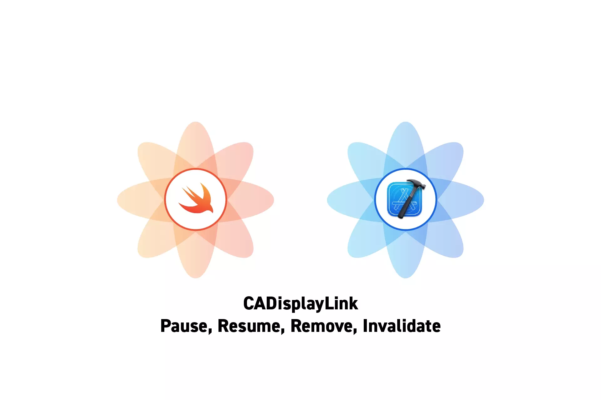 Two flowers that represent Swift and Xcode side by side. Beneath them sits the text "CADisplayLink Pause, Resume, Remove, Invalidate."