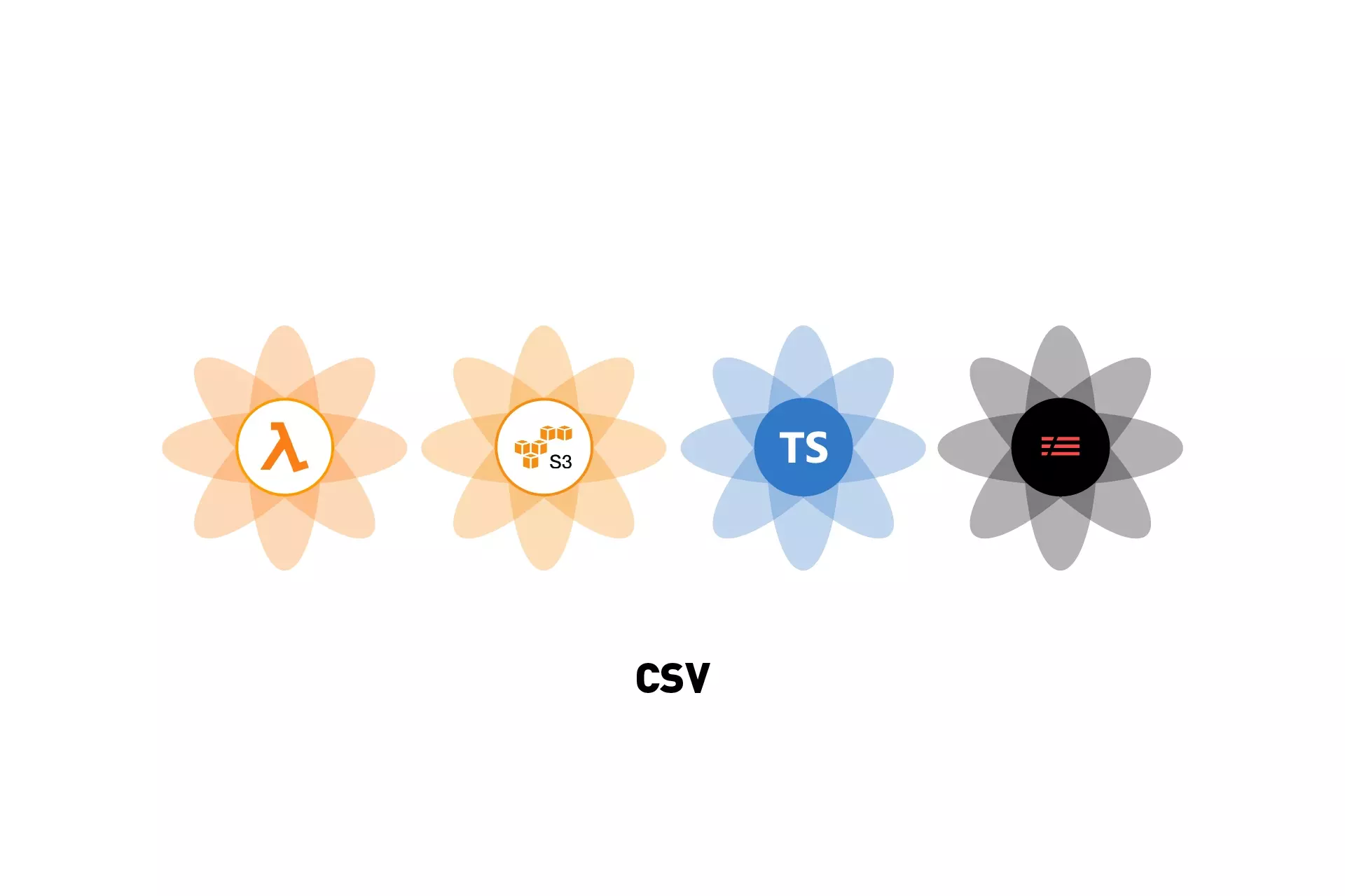 Four flowers that represent AWS Lambda, AWS S3, Typescript & Serverless. Beneath it sits the text "CSV."