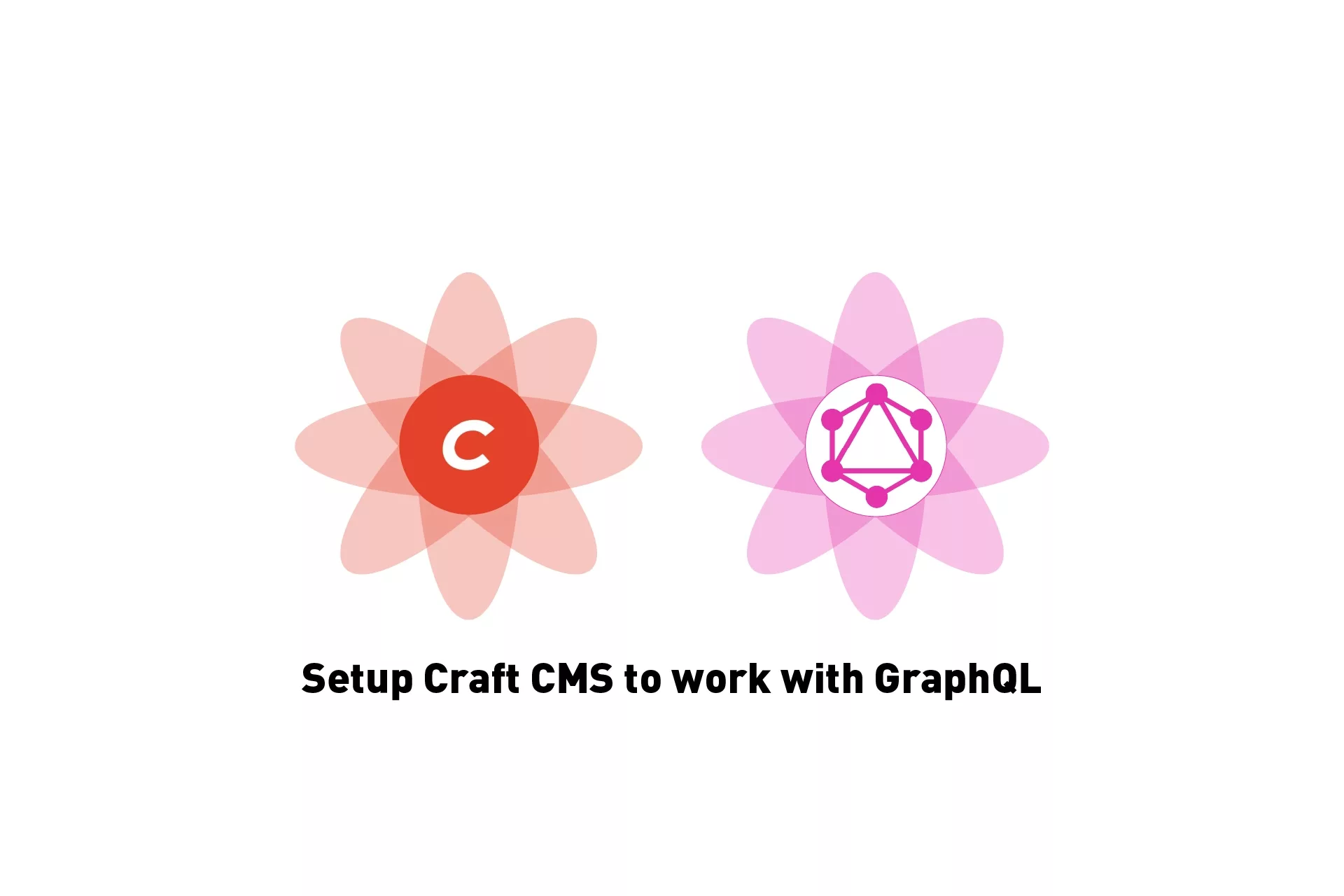 Two flowers that represent Craft CMS and GraphQL with the text 'Setup Craft CMS to work with GraphQL' beneath them.