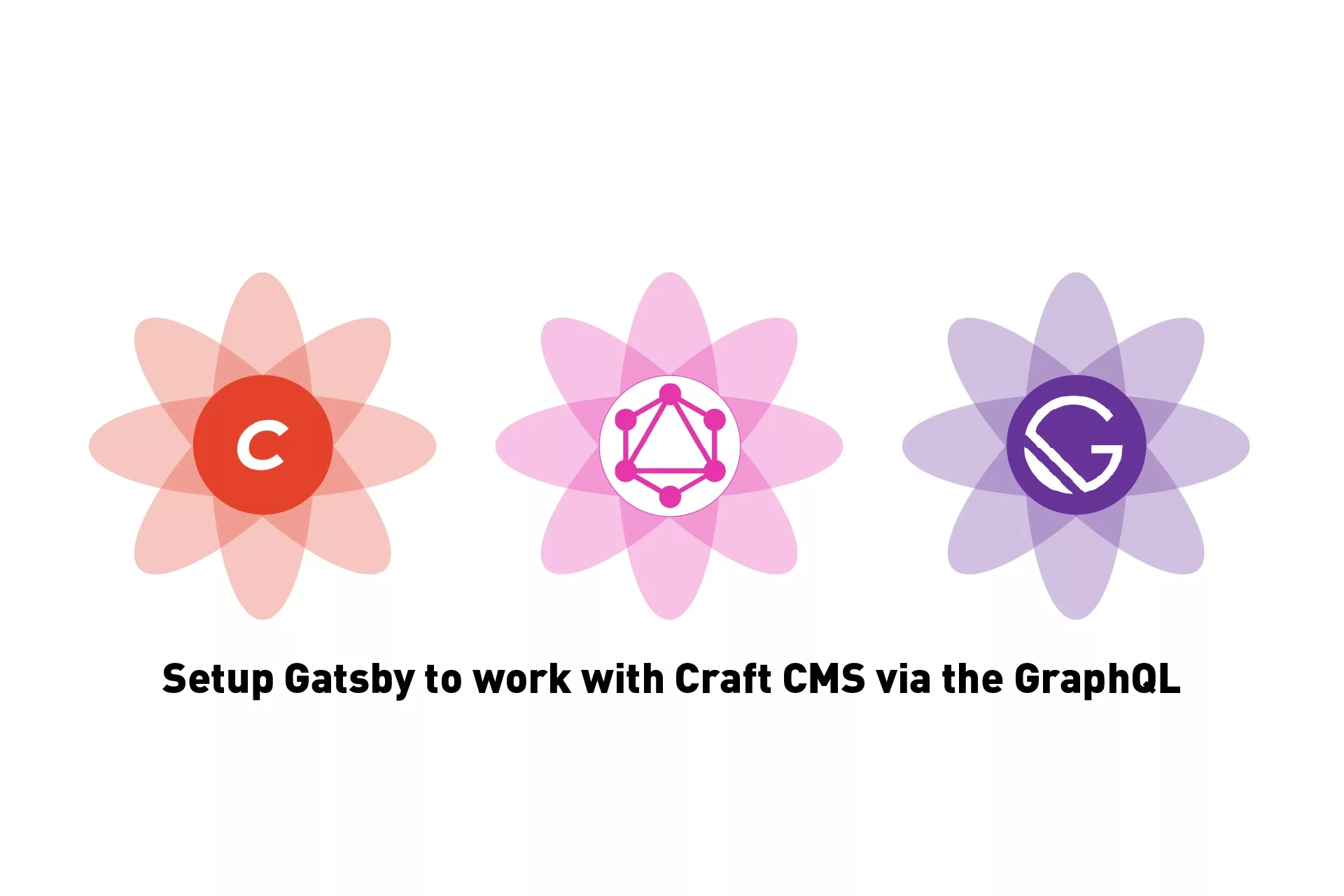 Three flowers that represent Craft CMS, GraphQL & Gatsby with the text 'Setup Gatsby to work with Craft CMS via the Graph' beneath them.