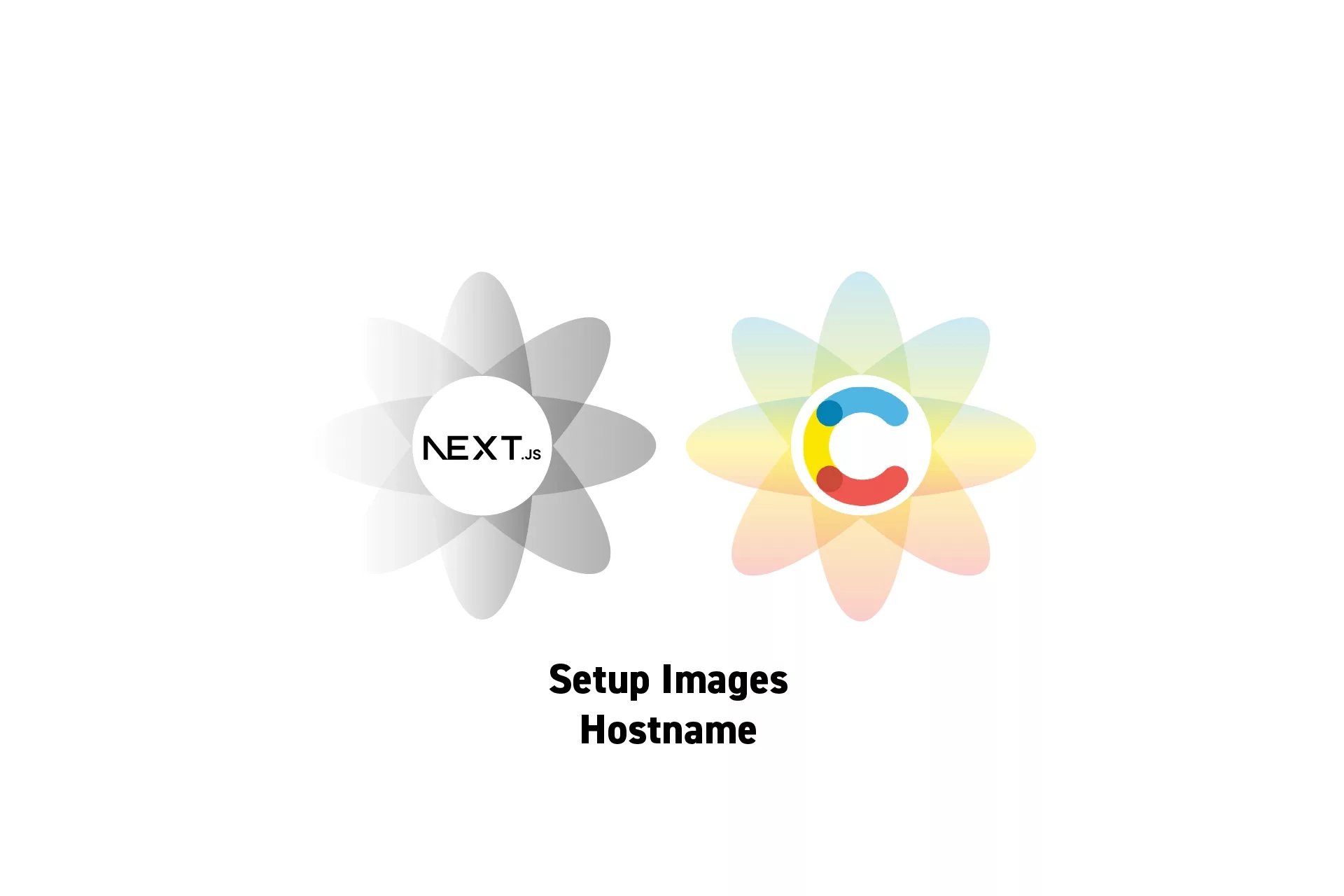 Two flowers that represents NextJS and Contentful side by side with the text "Setup Images Hostname” beneath it.