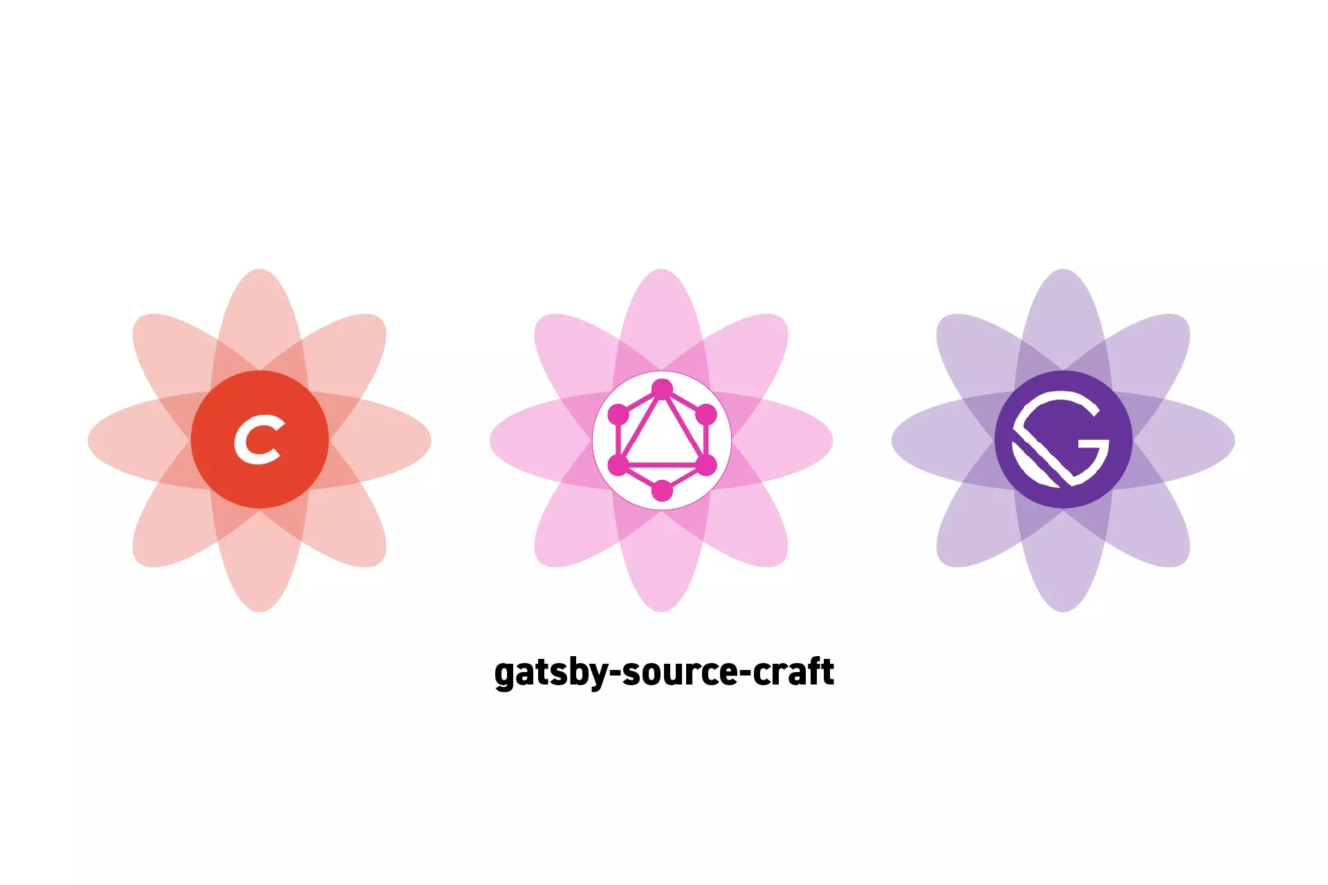 
<p>Three flowers that represent Craft CMS, GraphQL and GatsbyJS side by side. Beneath them sits the text “gatsby-source-craft”.</p>
<p></p>