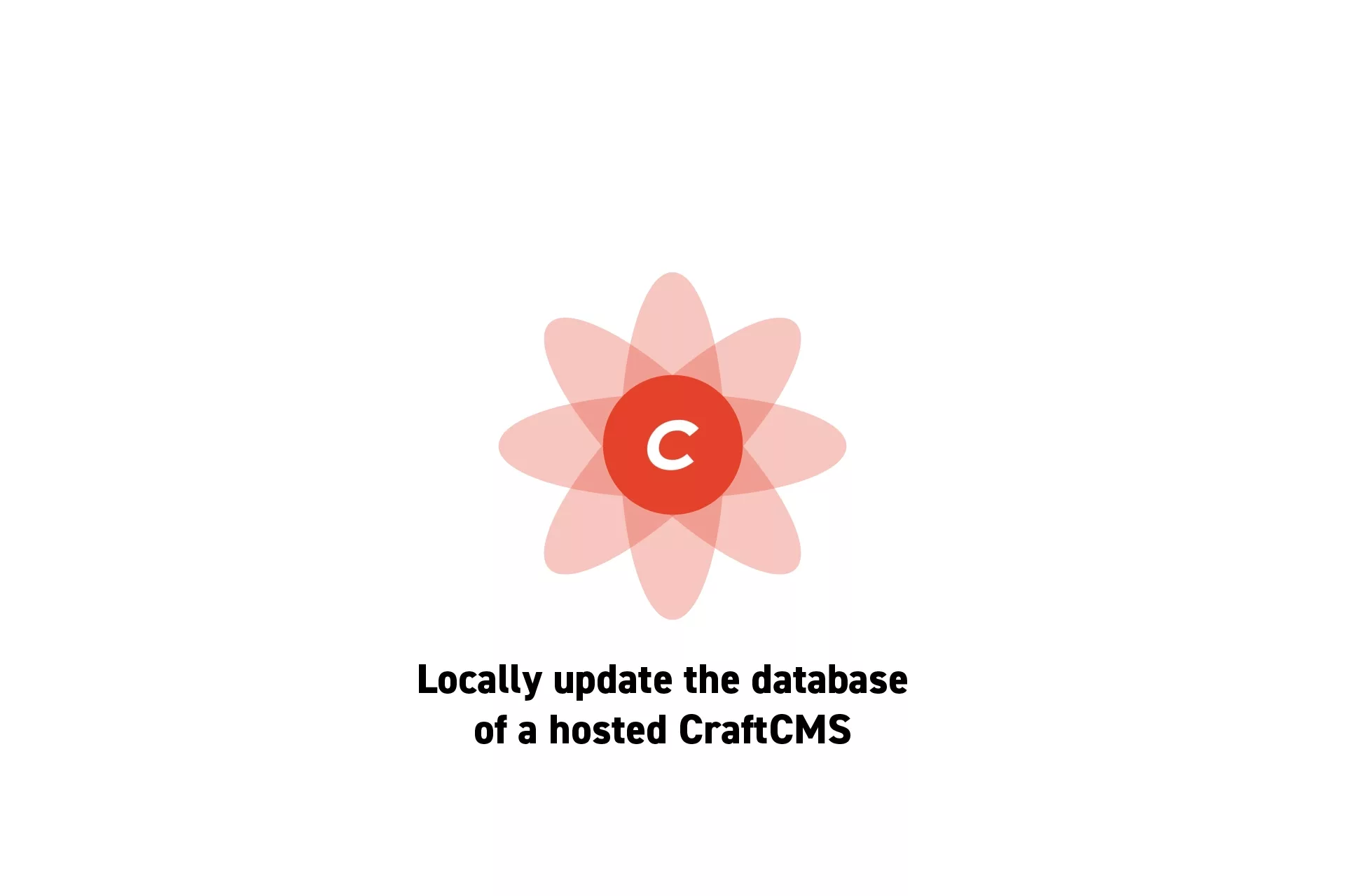 A flower that represents CraftCMS with the text "Locally update the database of a hosted CraftCMS" beneath it.