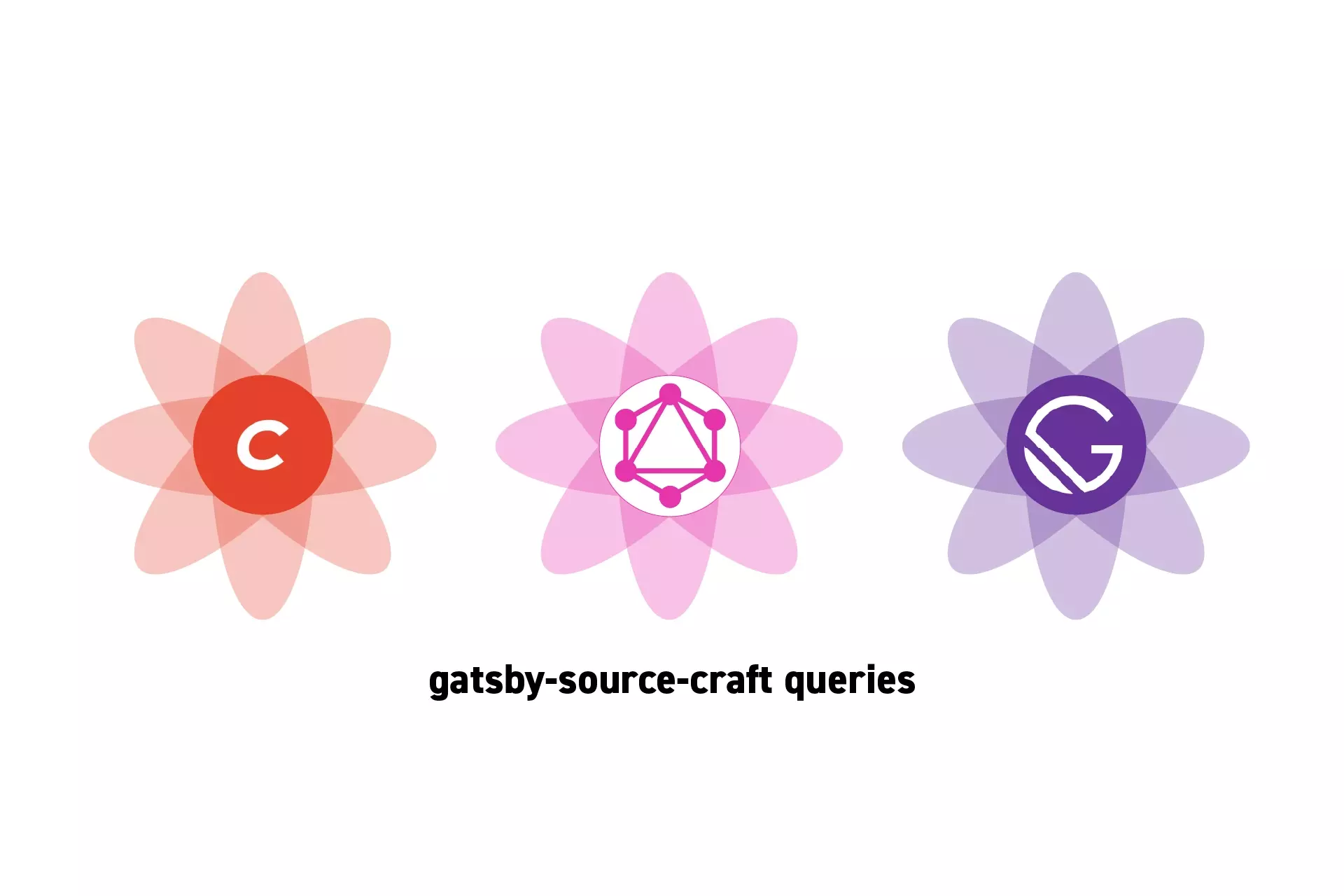 Three flowers that represent Craft CMS, GraphQL and GatsbyJS side by side. Beneath them sits the text “gatsby-source-craft queries”.