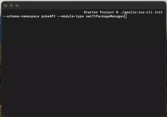 <p>A screenshot of Terminal showing how we initialized the Apollo Client.</p>