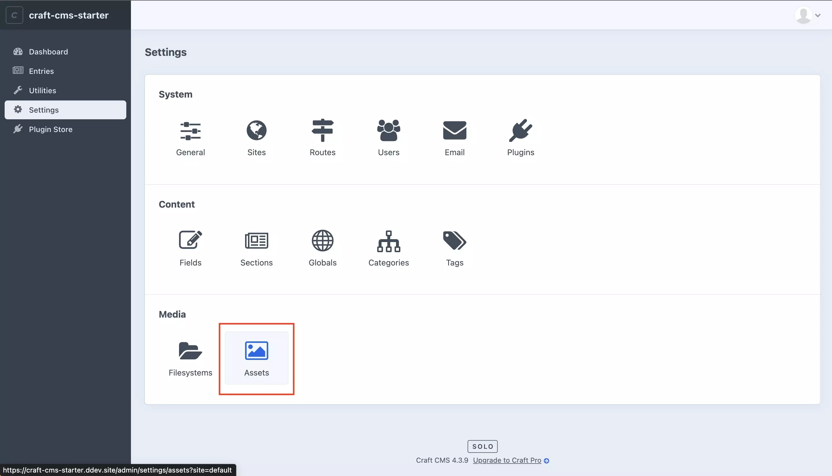 A screenshot of the Settings Craft CMS page with a highlight on the Assets tile. Press it and move on to the next step.