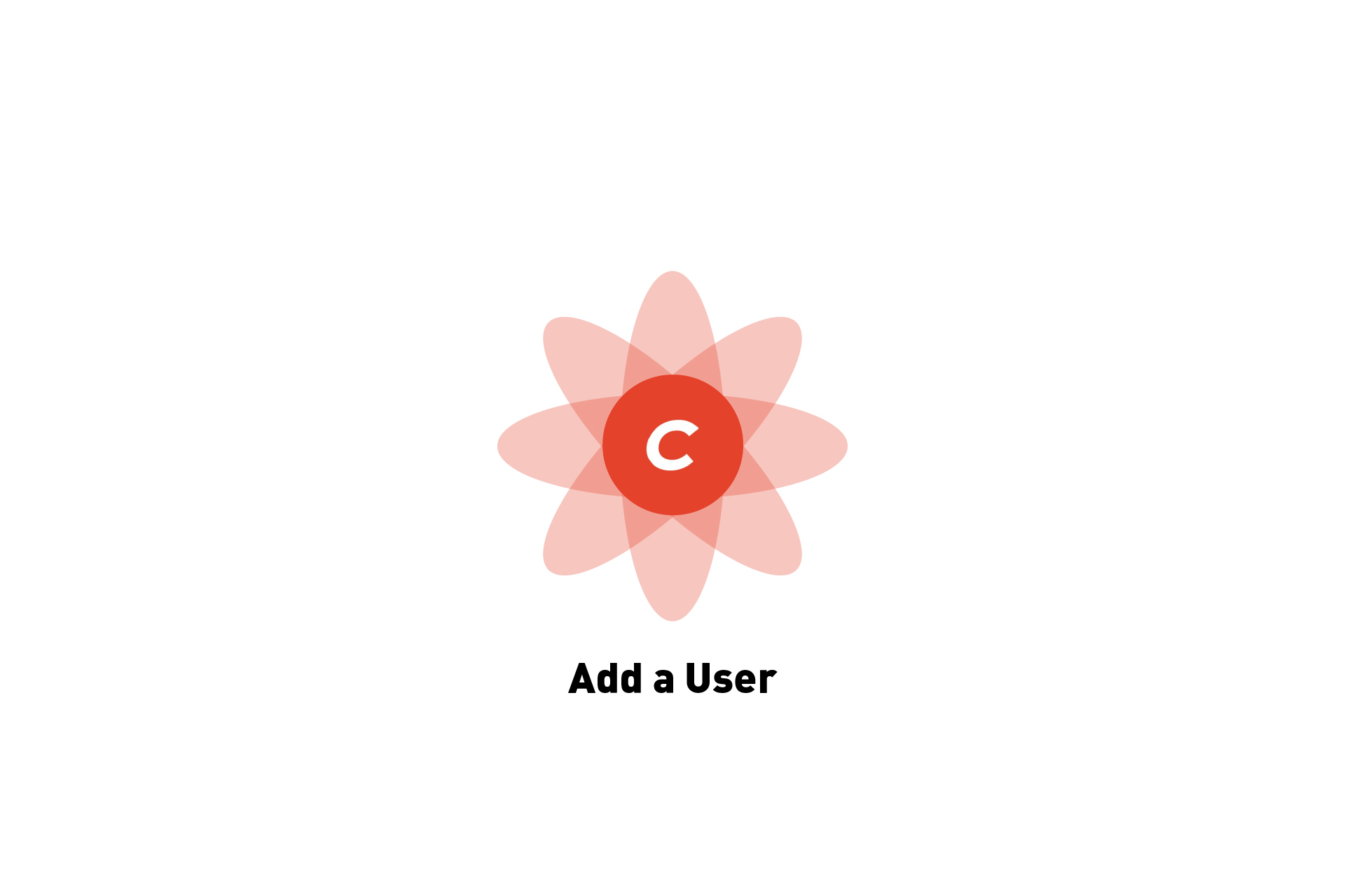 How to add a user in craft cms